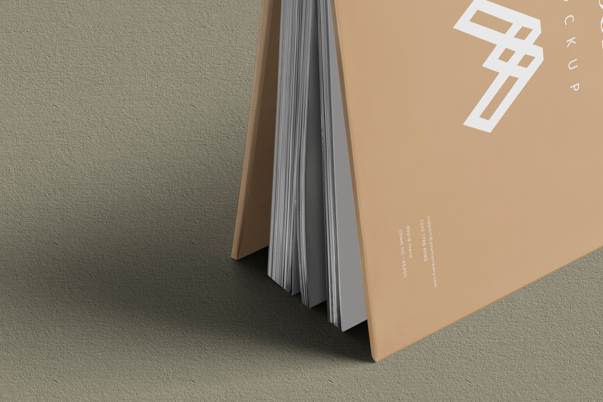 branding book mockup