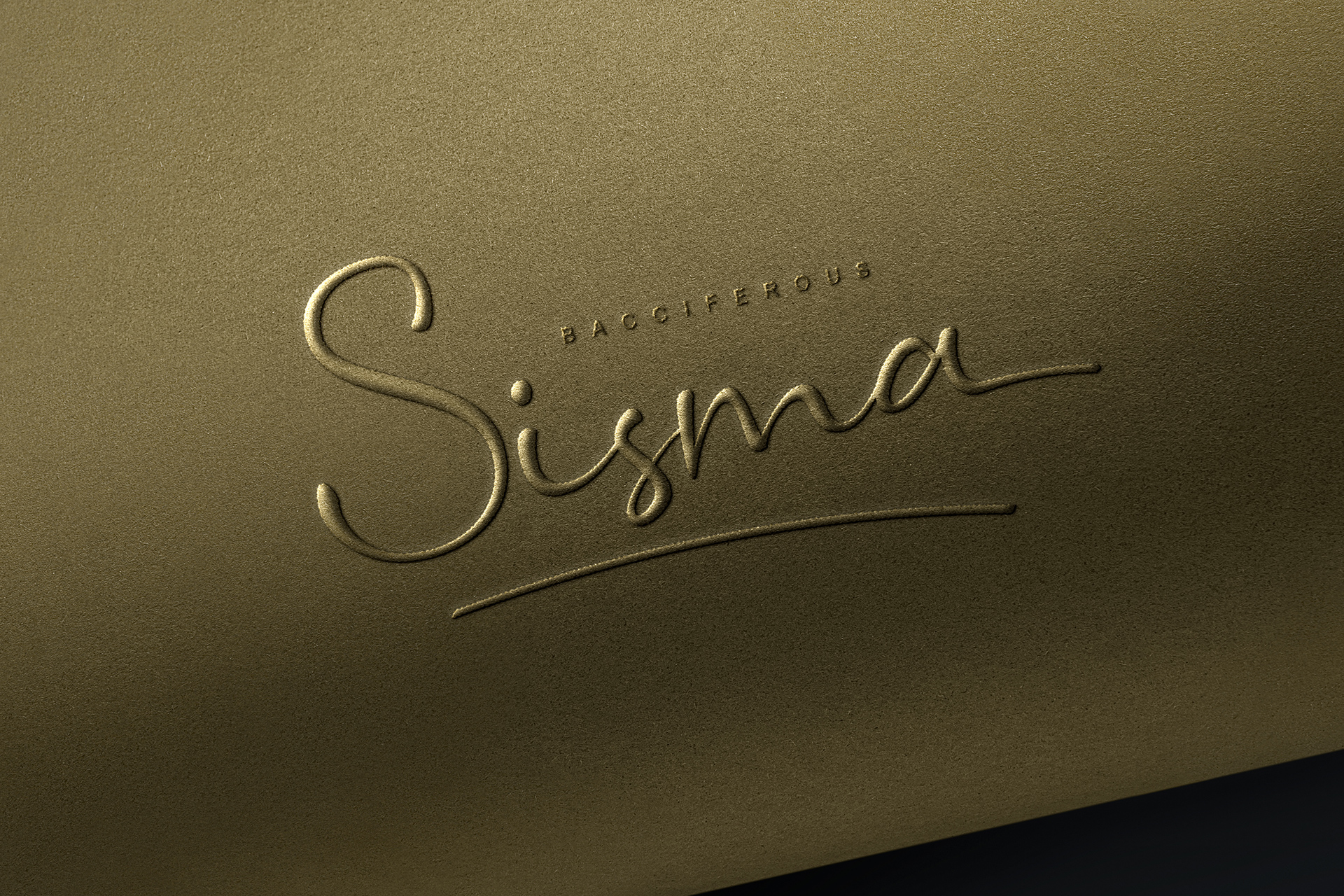 Elegant Script Embossed Logo Mockup