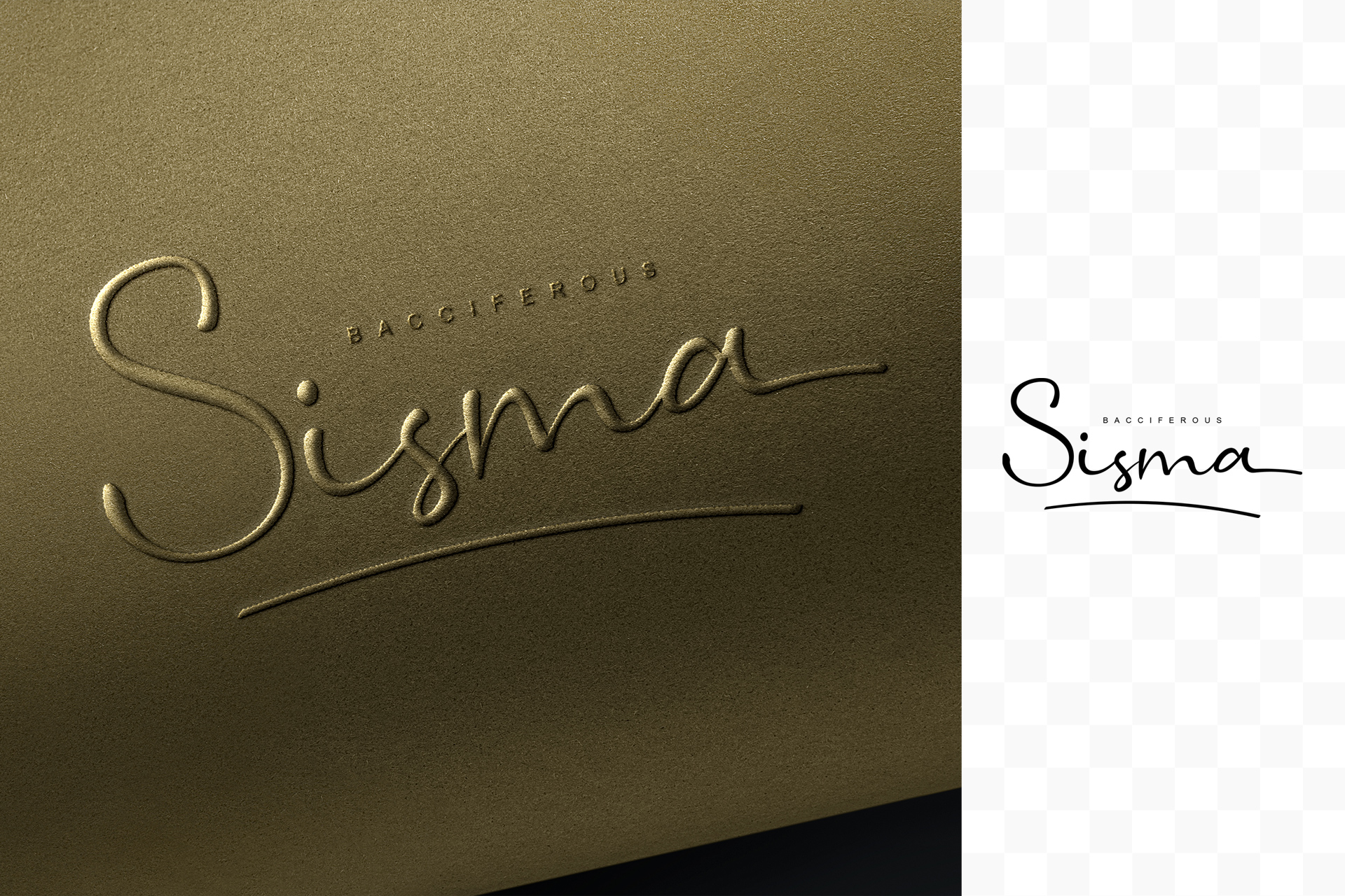 brand identity template