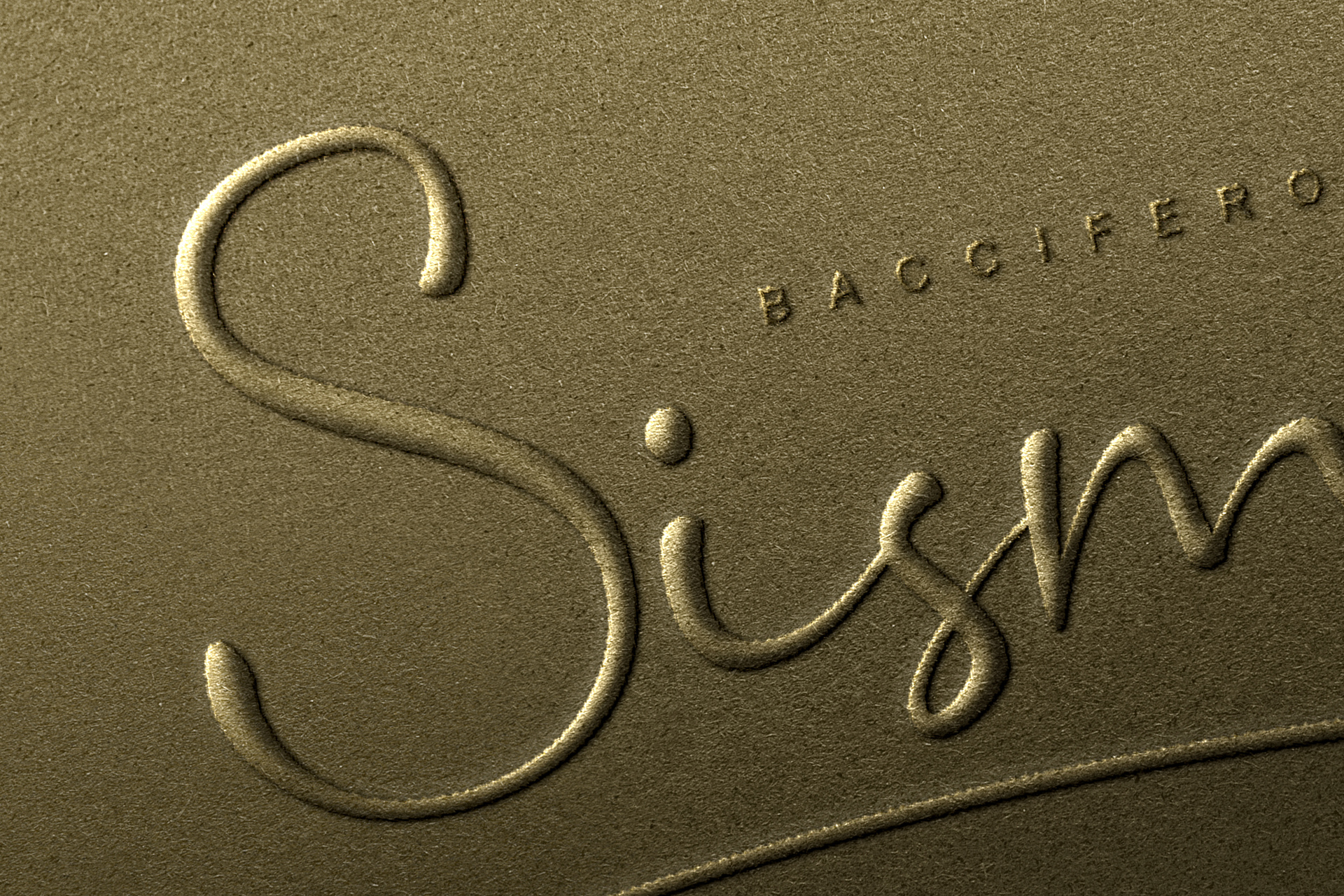 brand identity template