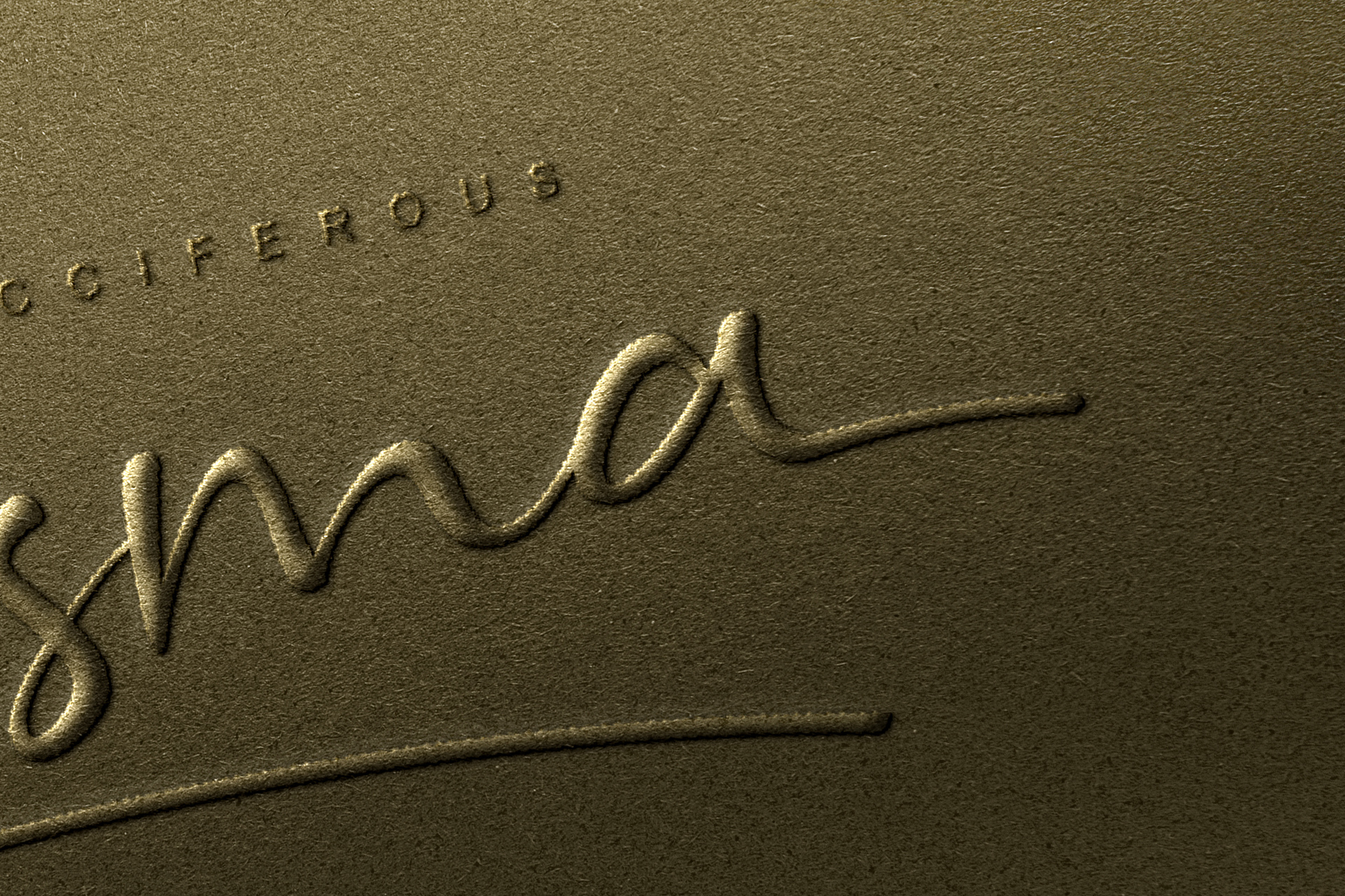 brand identity template