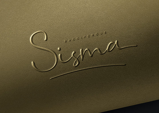 Elegant Script Embossed Logo Mockup