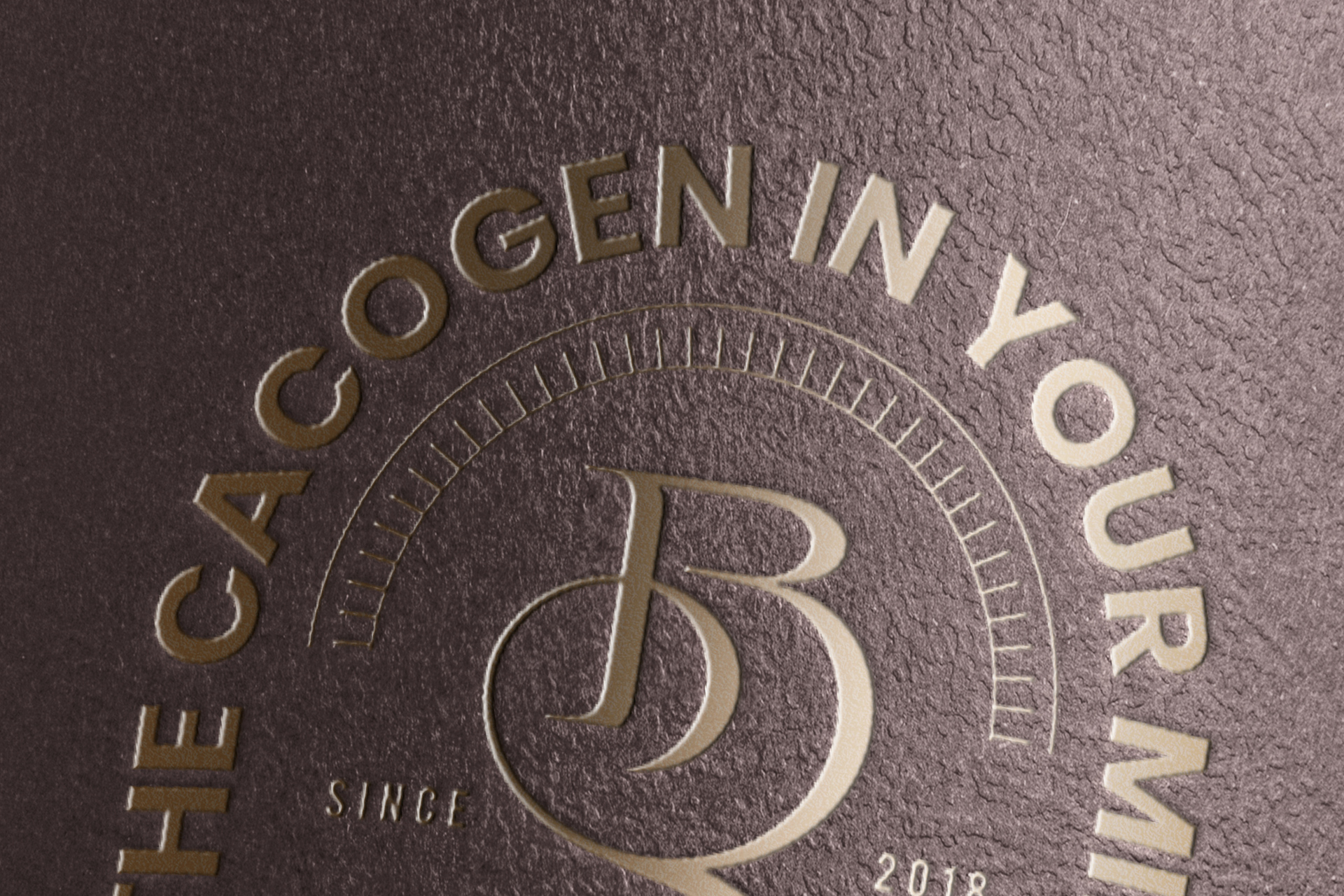business branding PSD