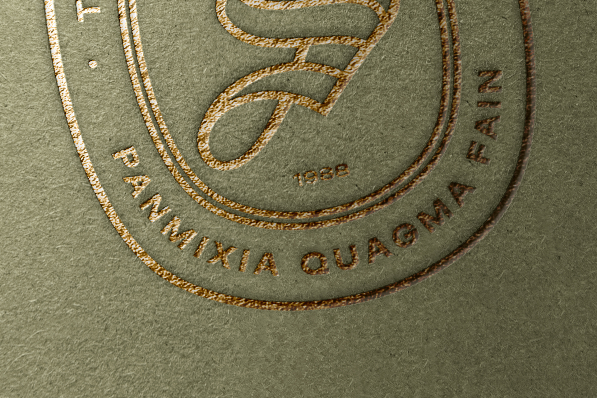 branding identity PSD
