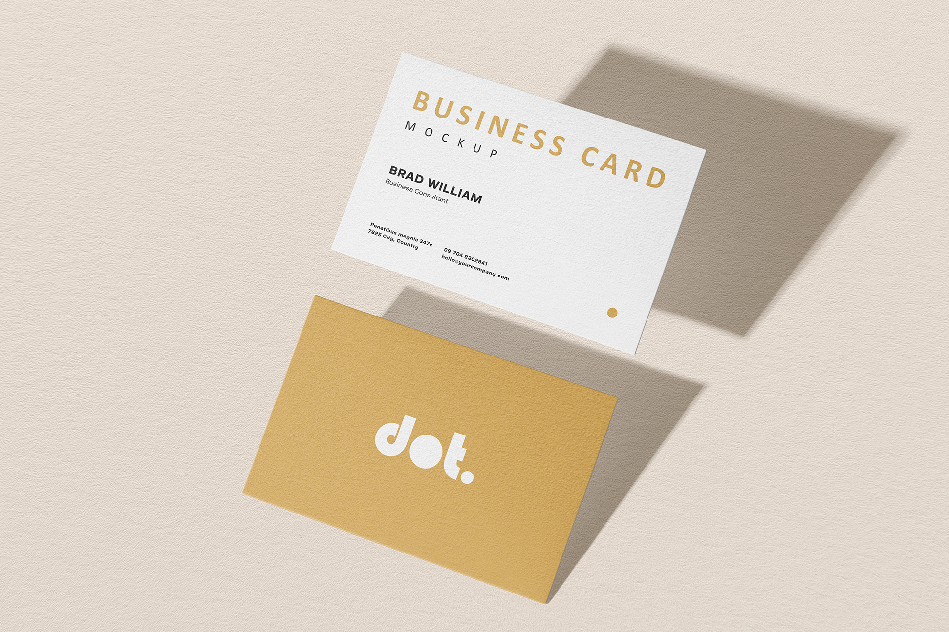 Professional Grid Business Card mockup