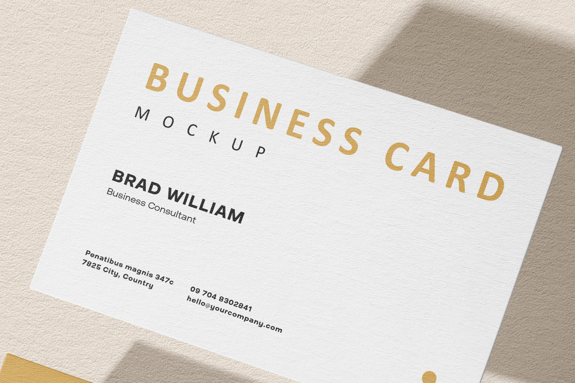 business card mockup