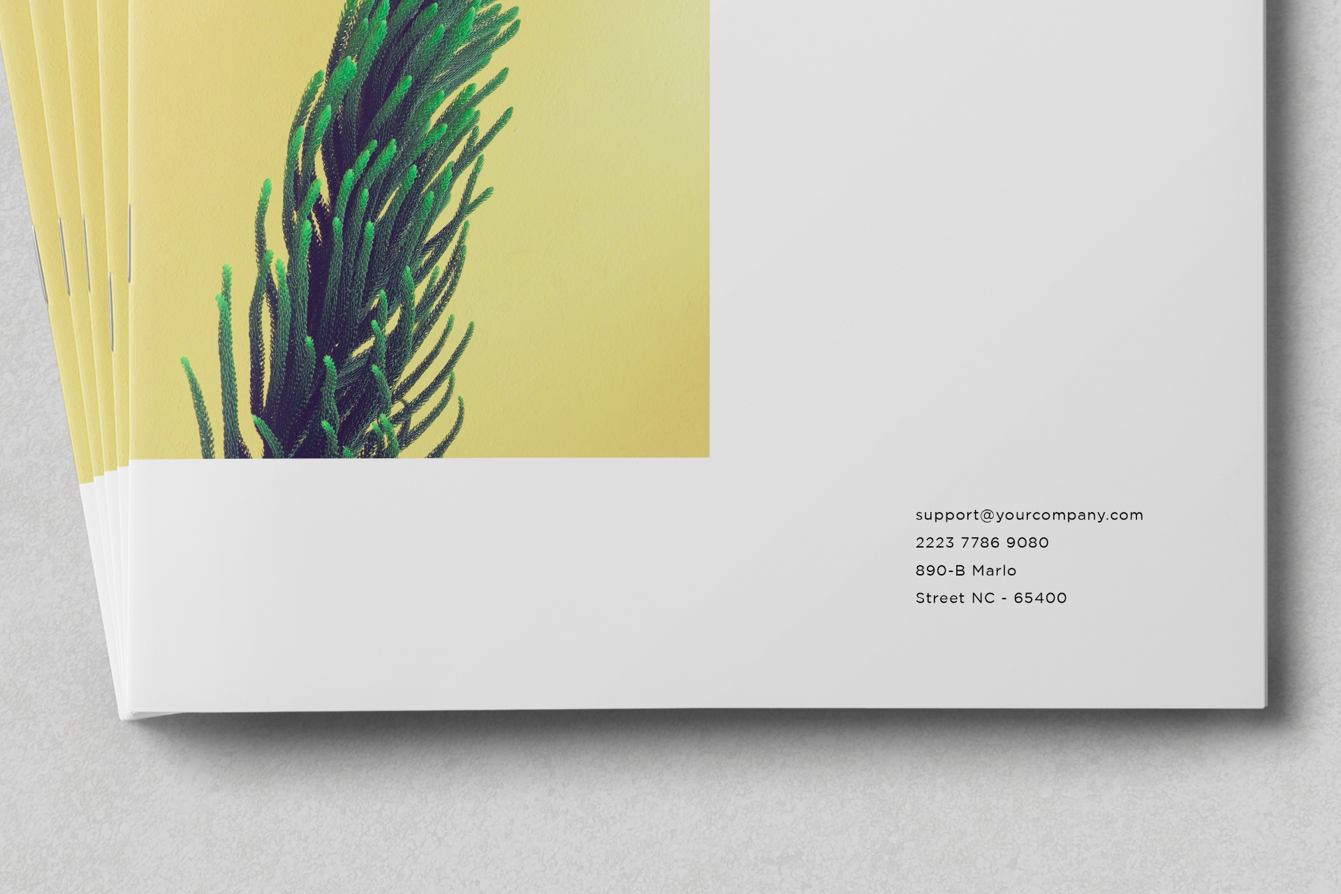 A4 cover mockup