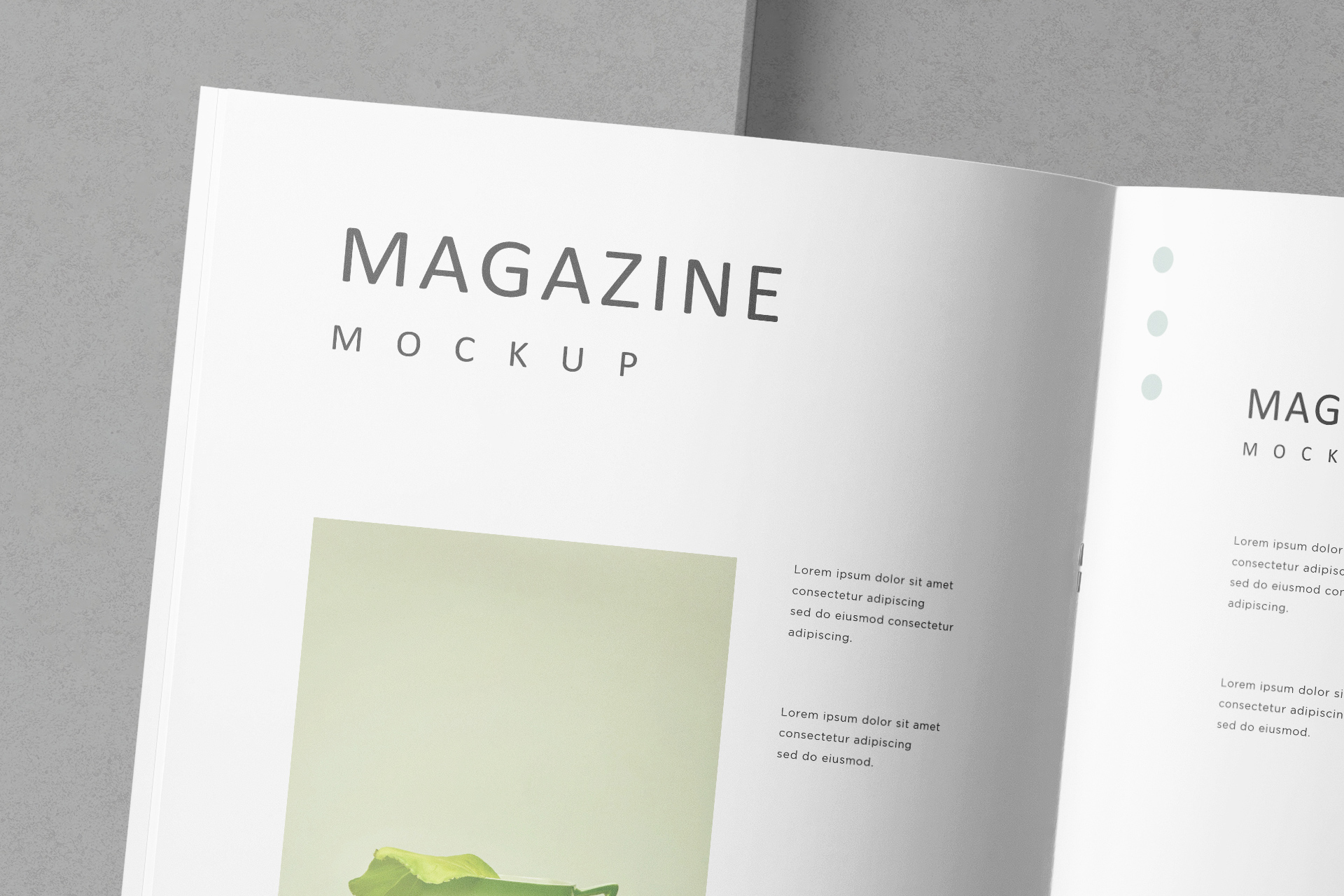 A4 editorial design