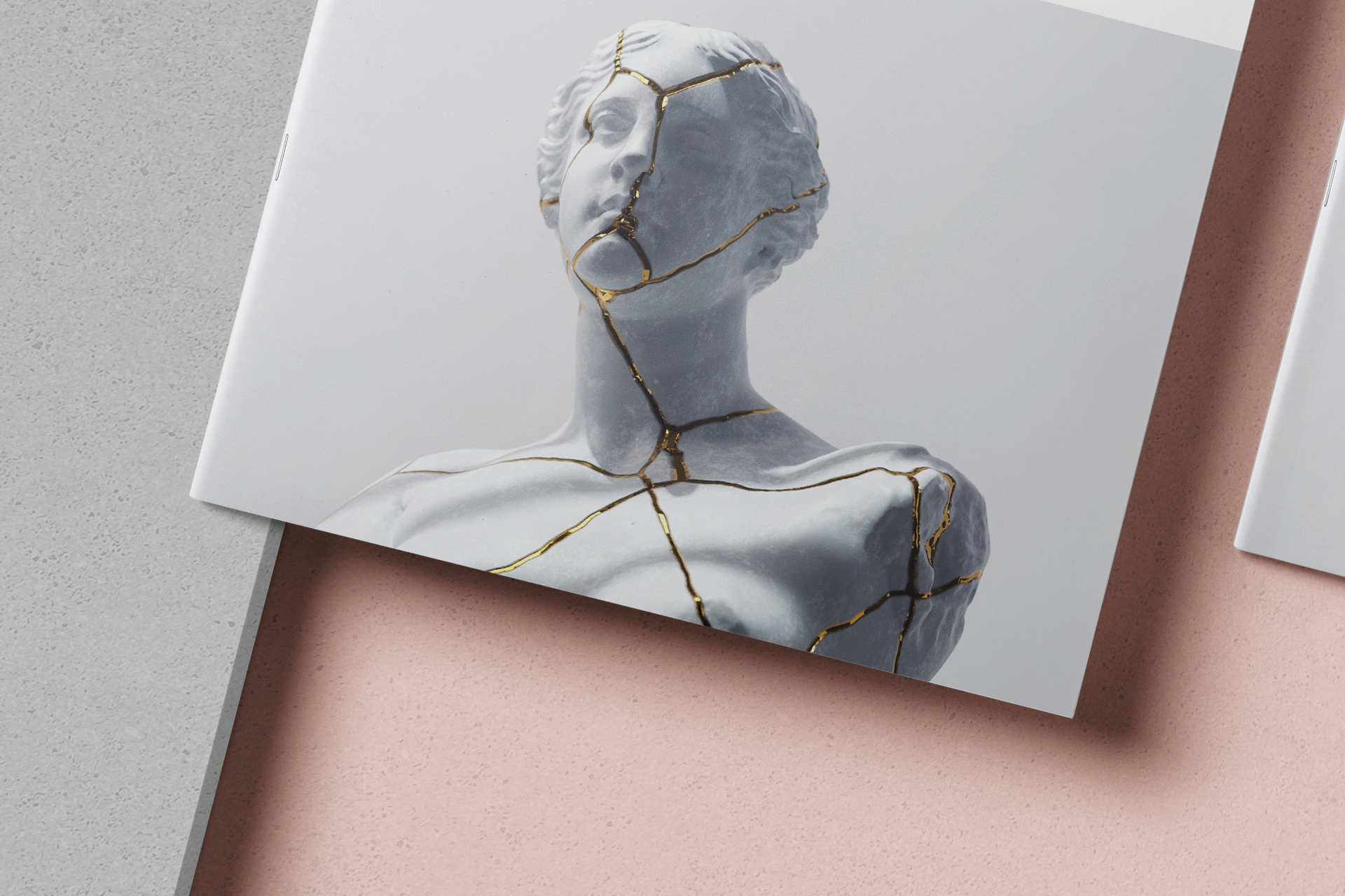 a5 book mockup