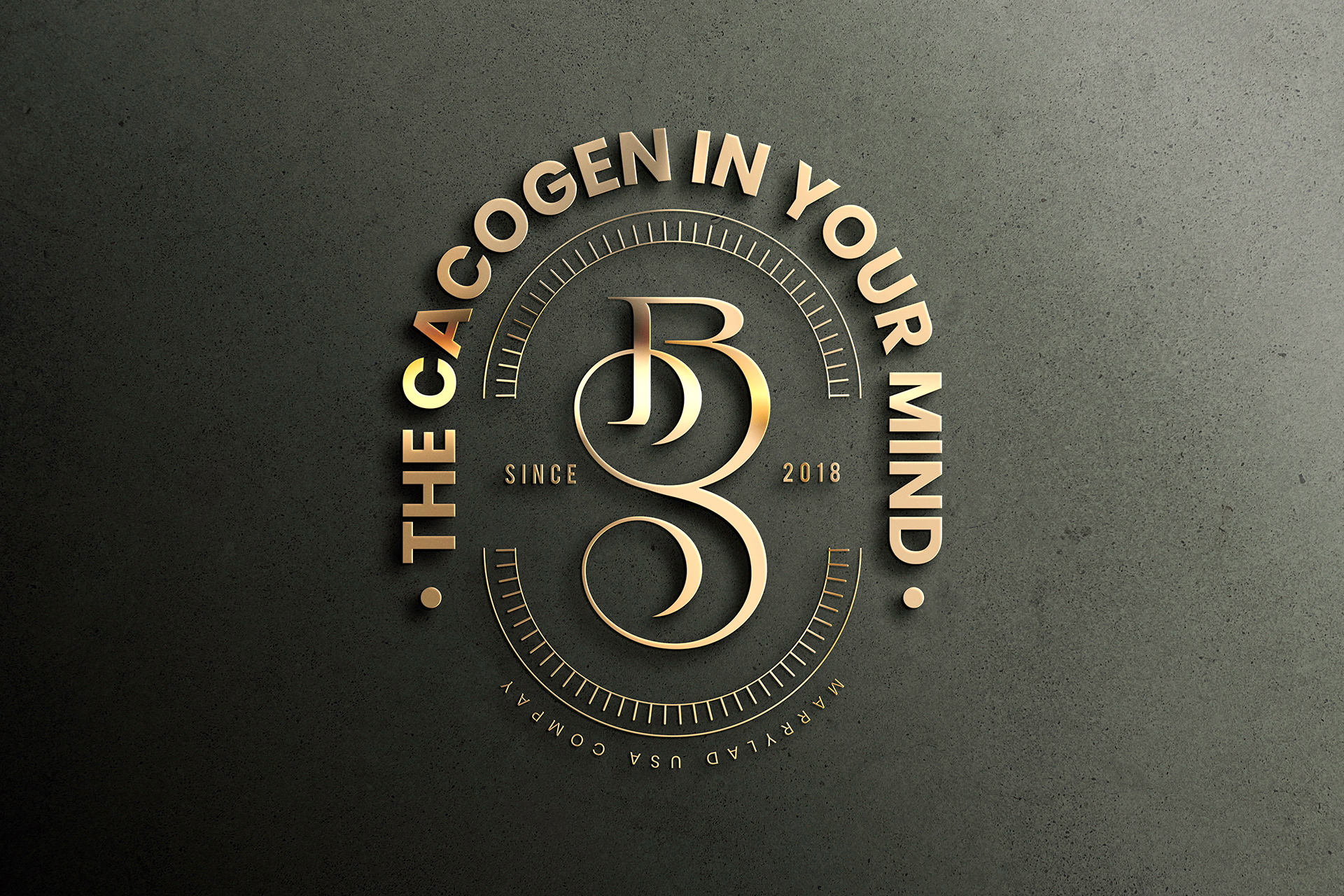 branding display mockup