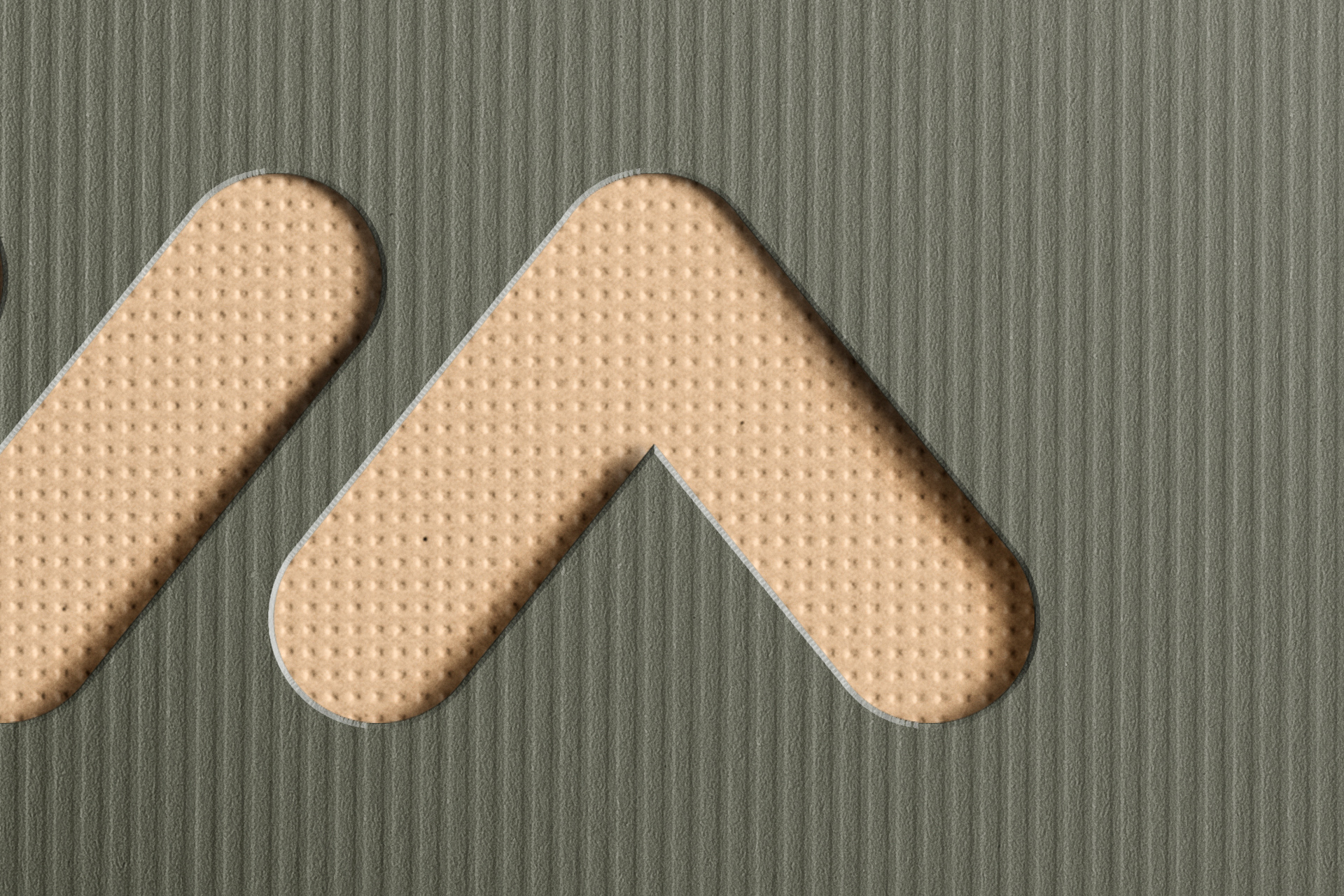 eco branding mockup