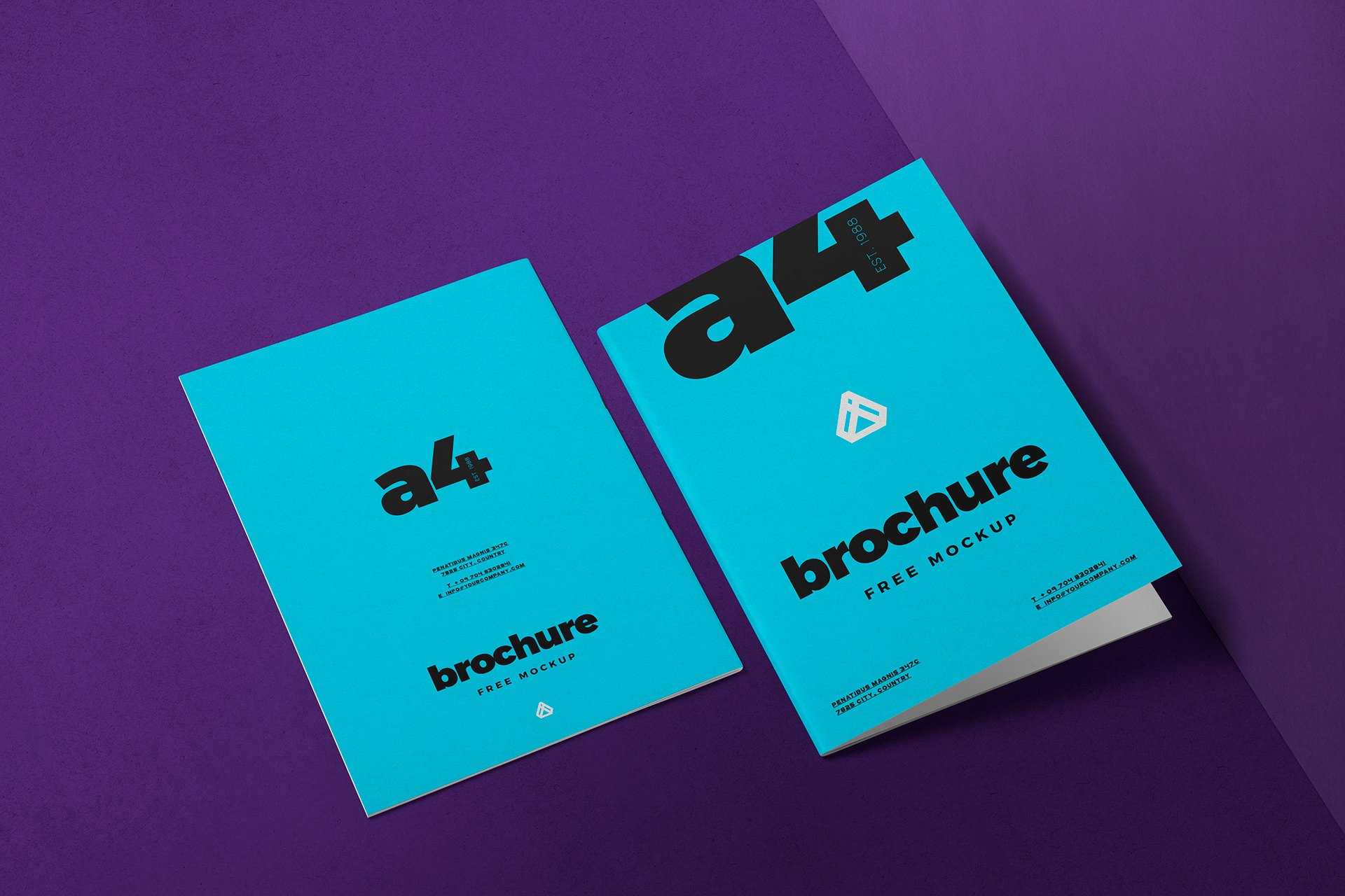 A4 brochure mockup