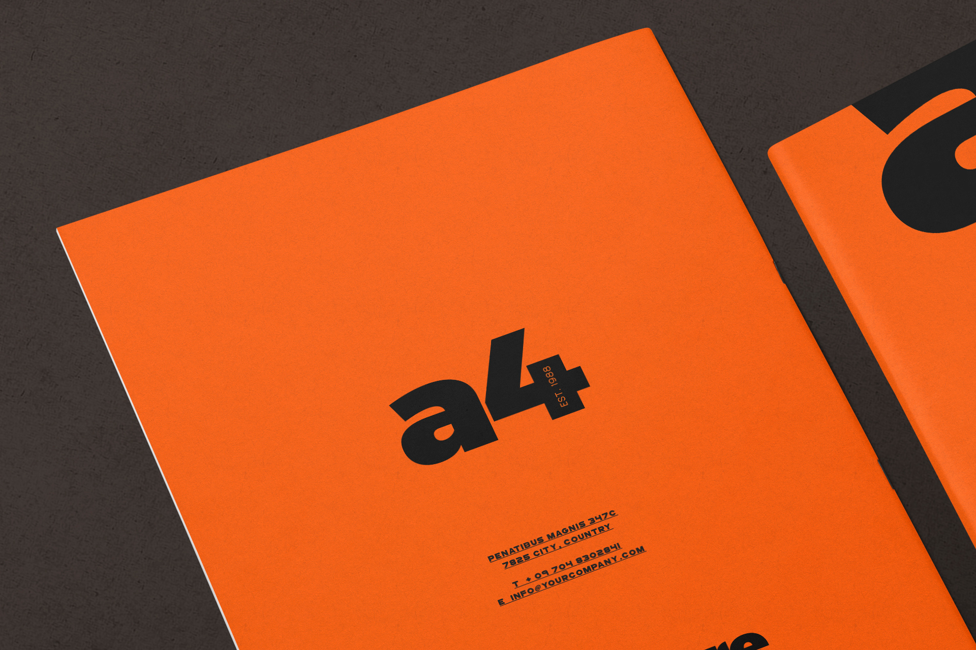 A4 brochure mockup