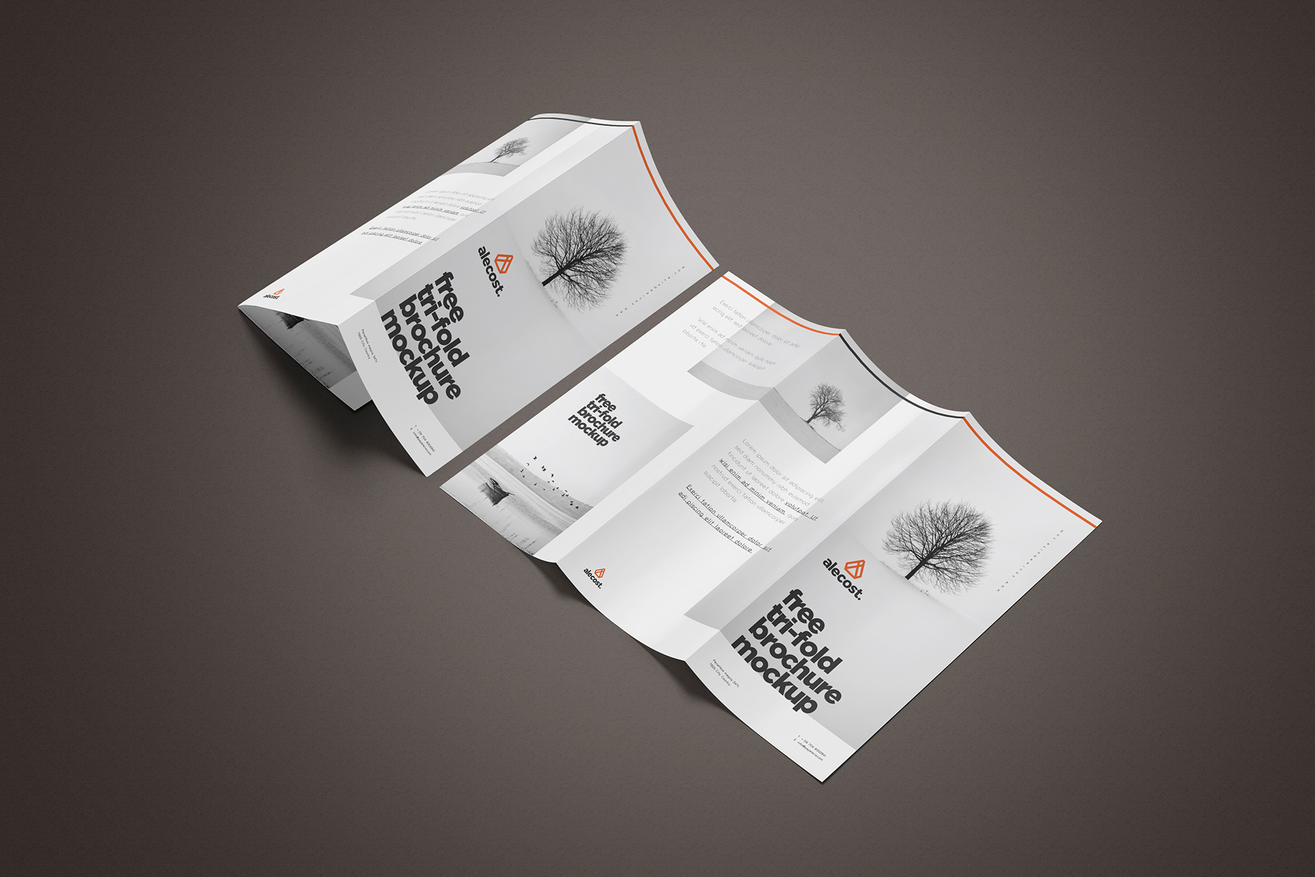 Free Tri-Fold Brochure Mockup for Print Design