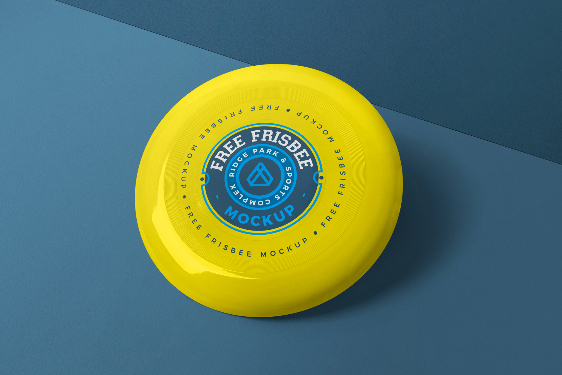 flying disc mock-up