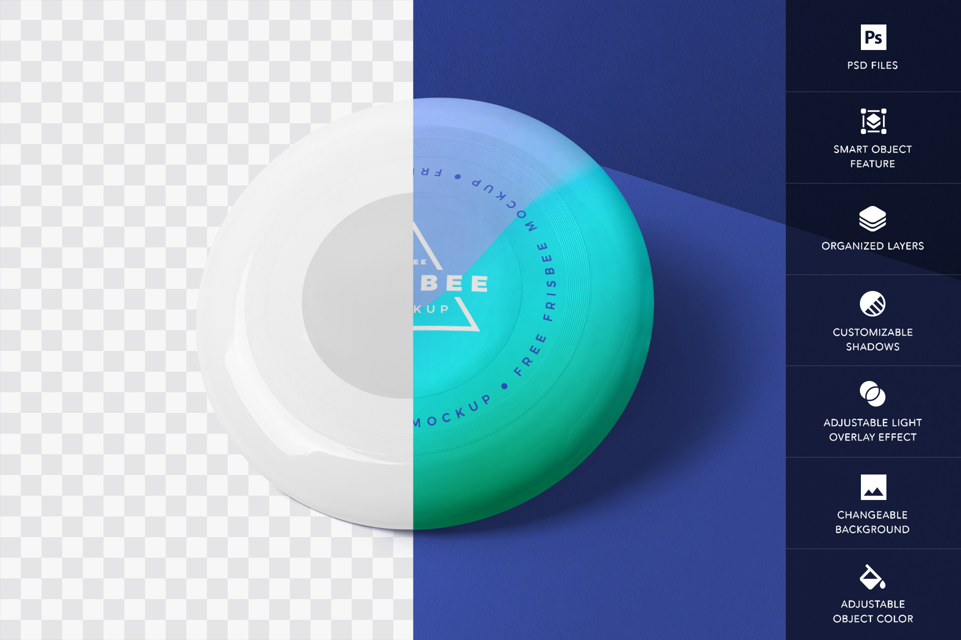 flying disc mock-up