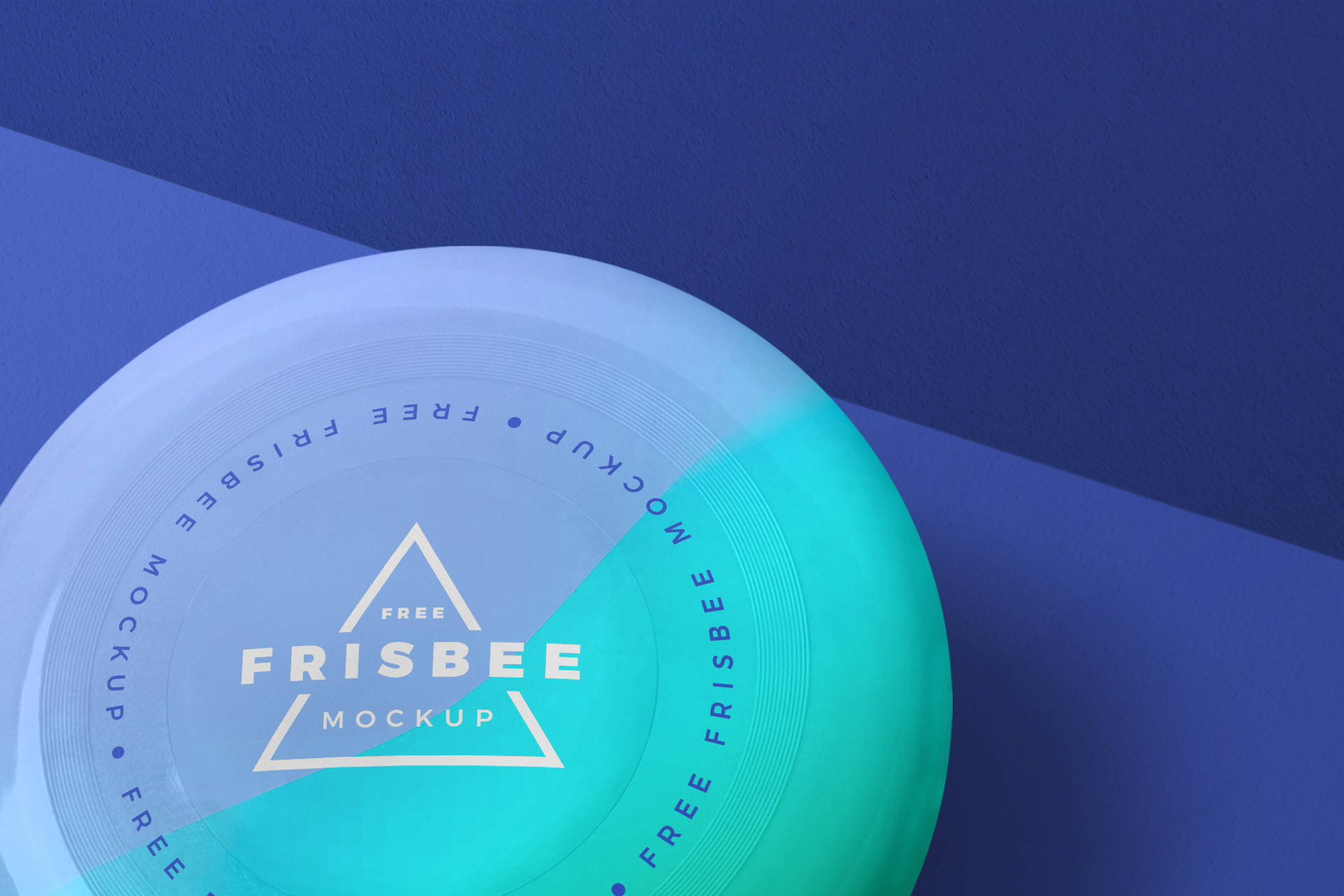 flying disc mock-up