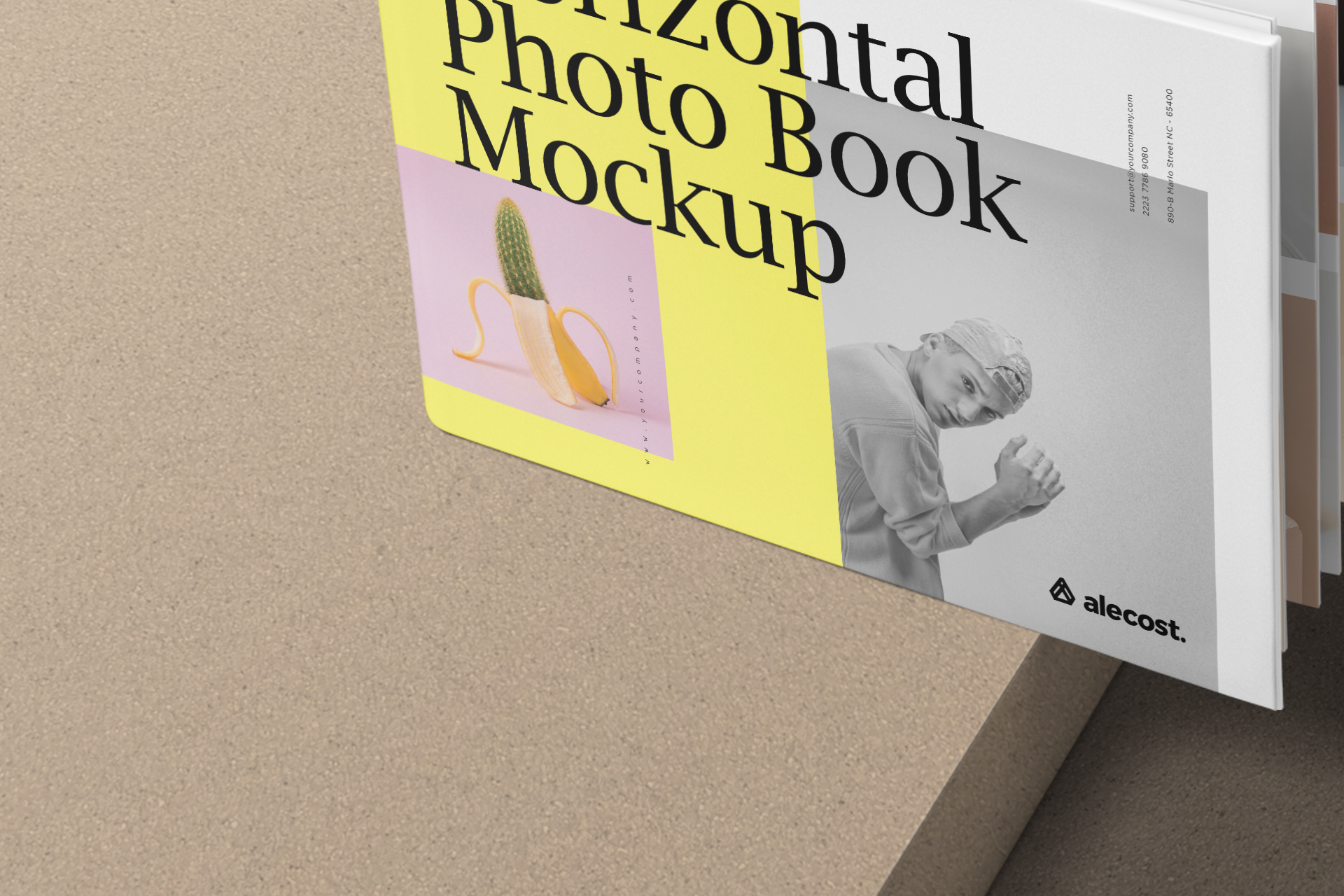 contemporary book branding