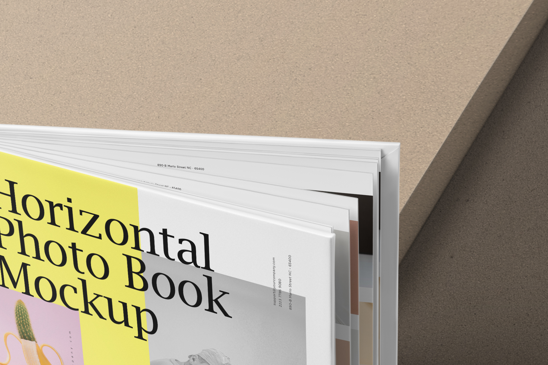 contemporary book branding