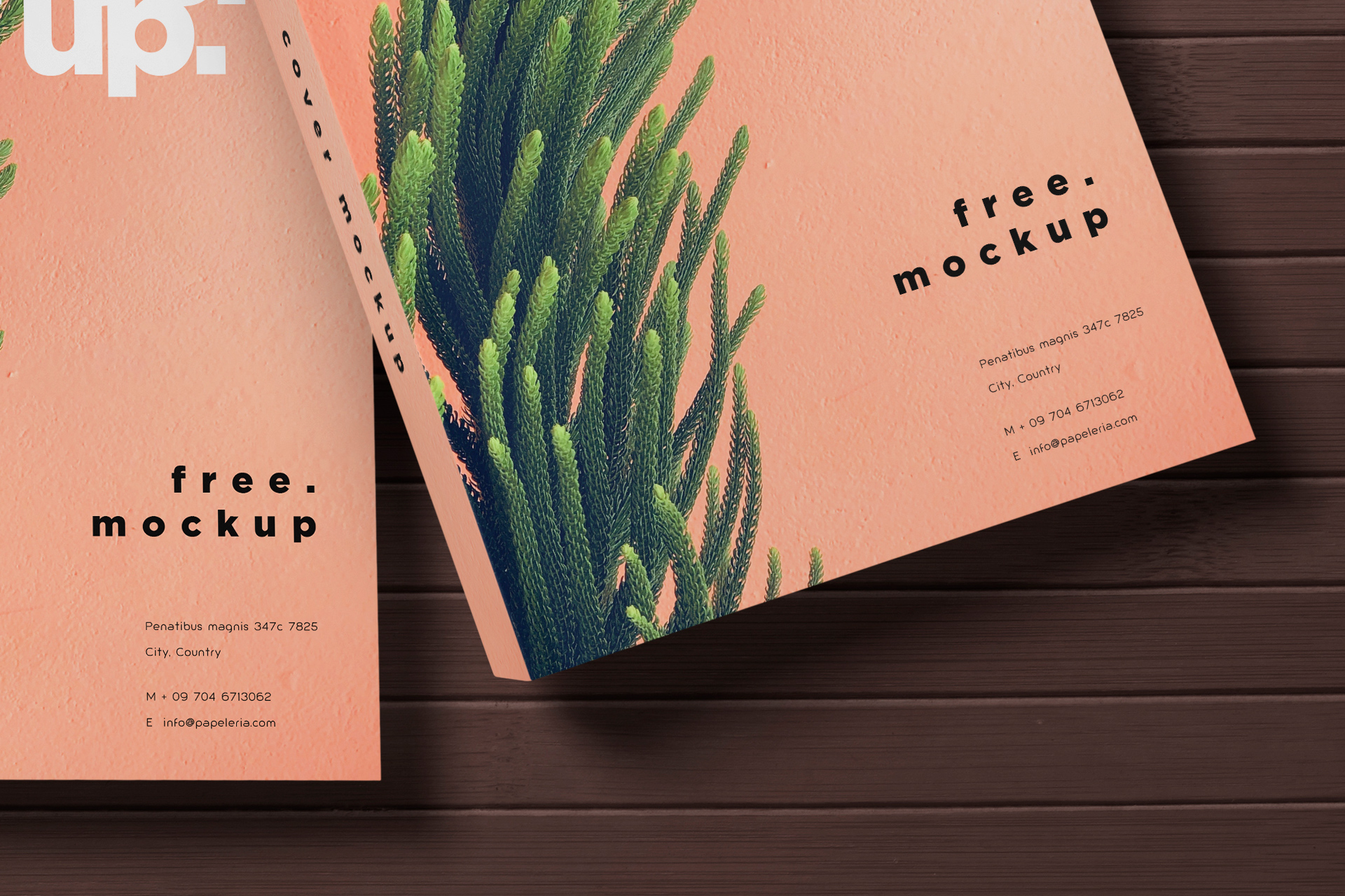 author book mockup