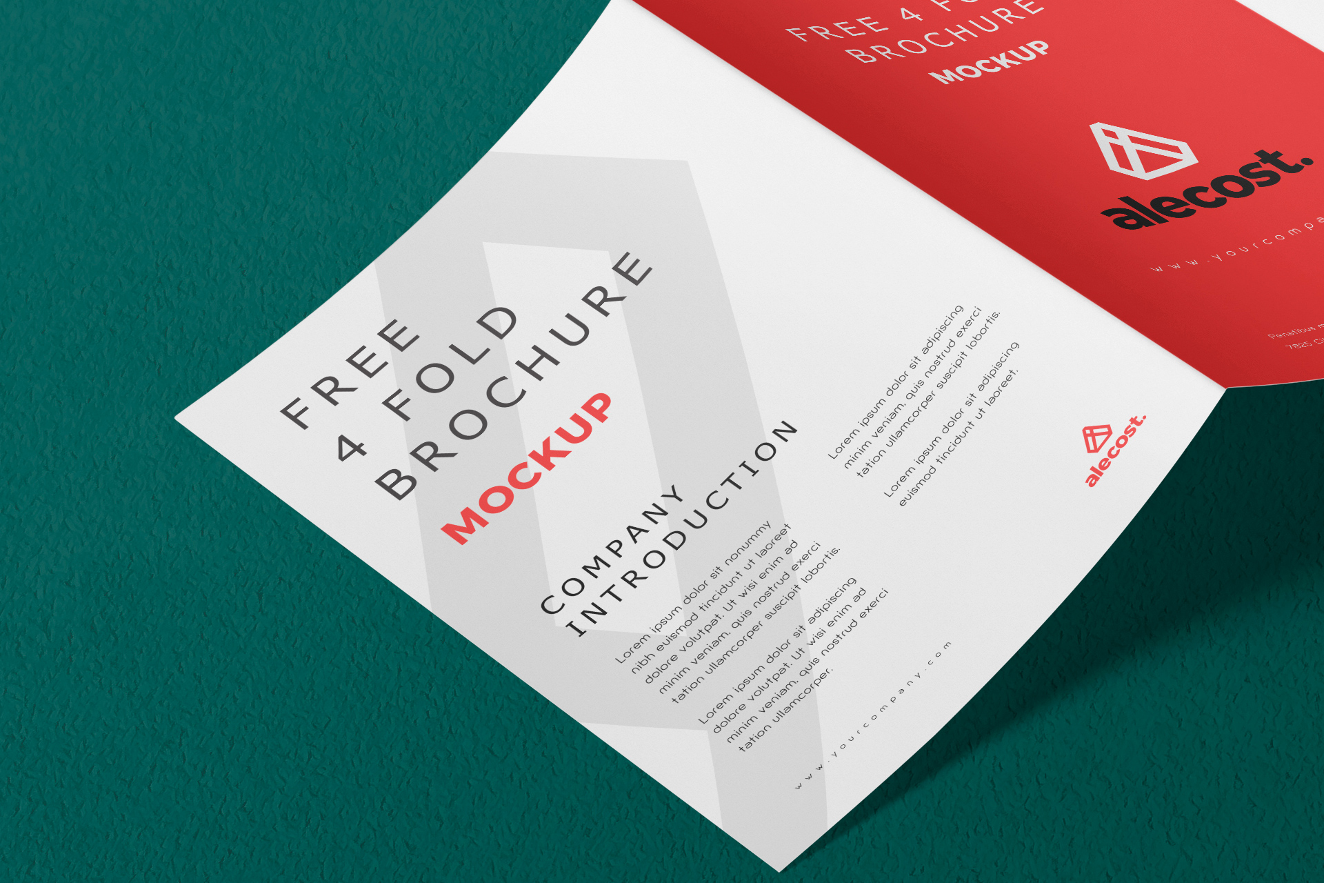 advertising brochure mockup