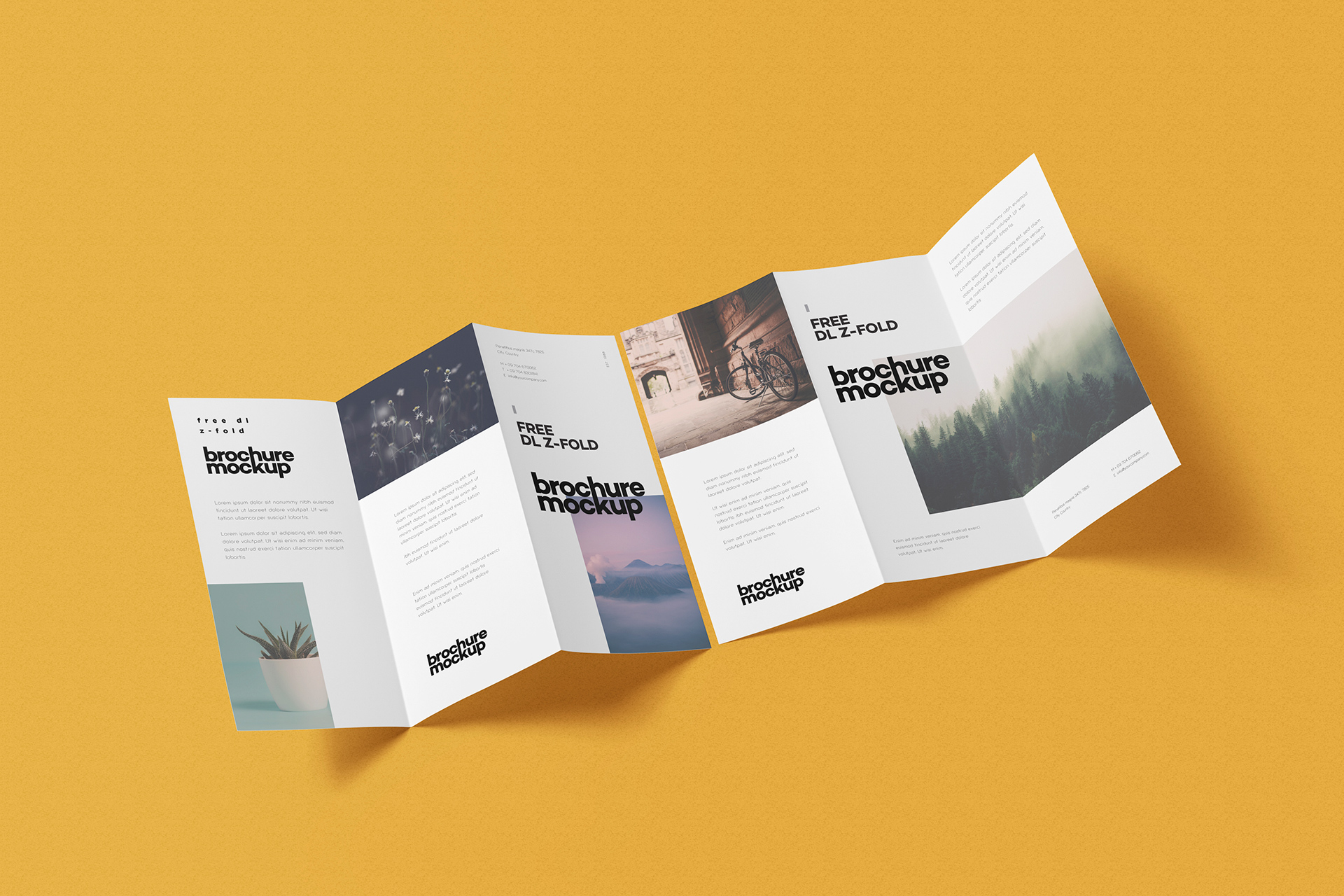 Free DL Z-Fold Brochure Mockup PSD