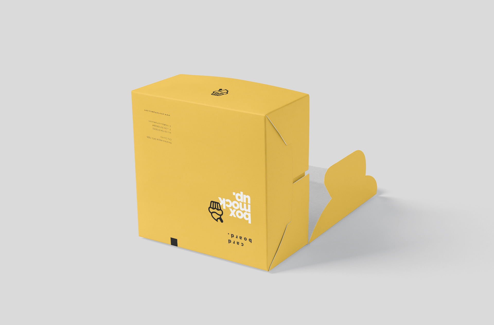 Foldable Takeaway Food Box Mock-up for Restaurants