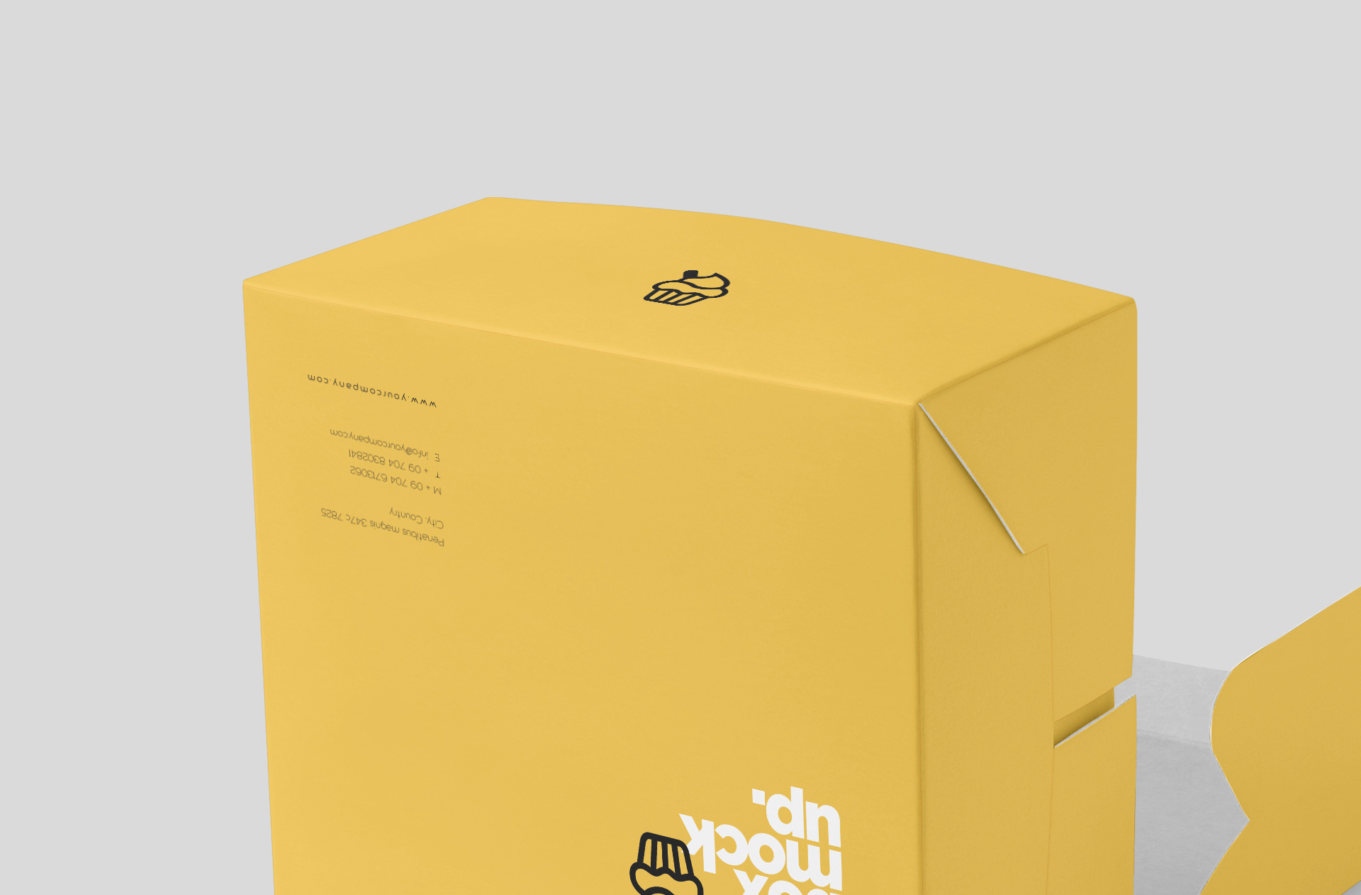 disposable meal box