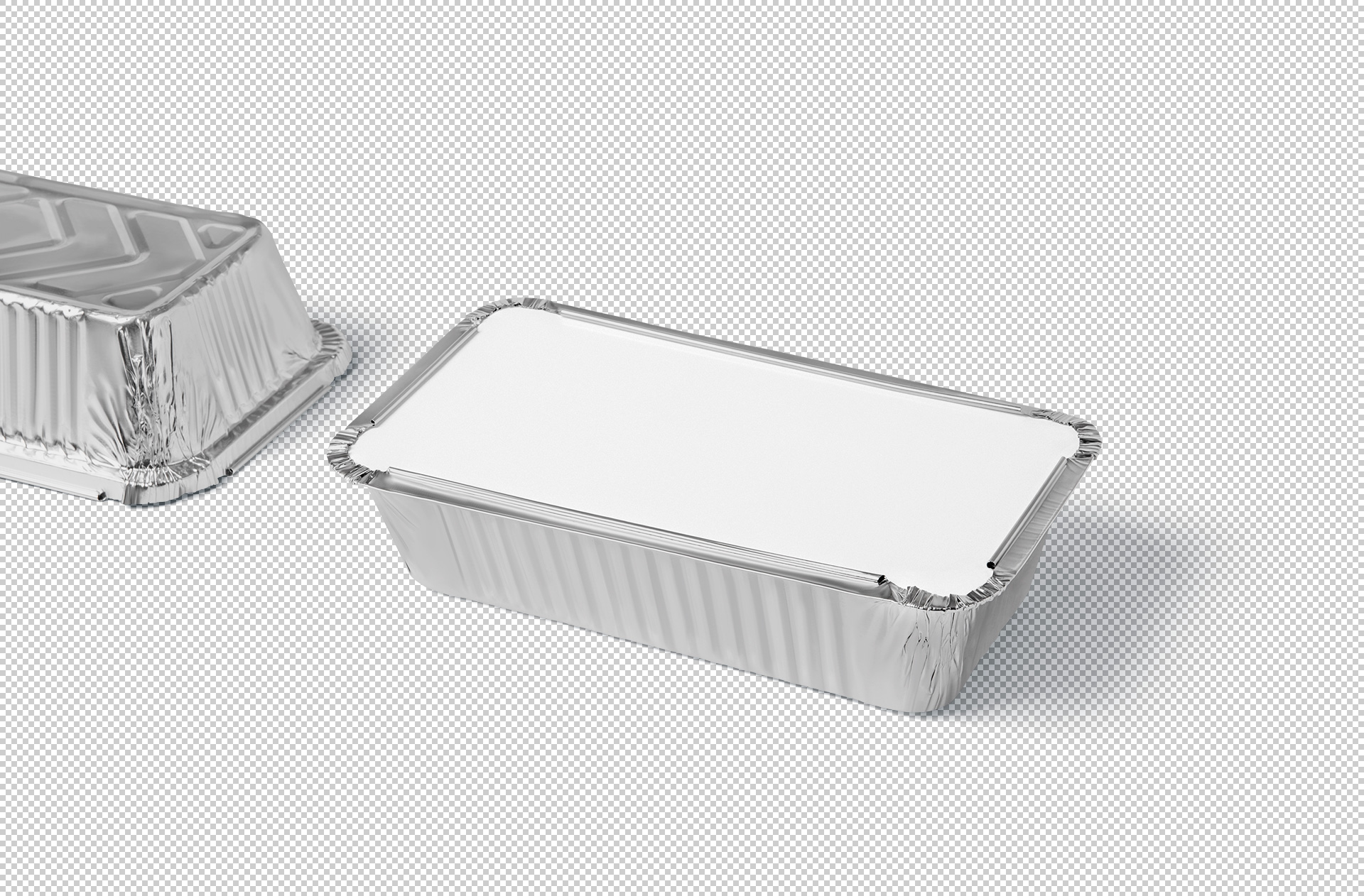 disposable food tray mockup