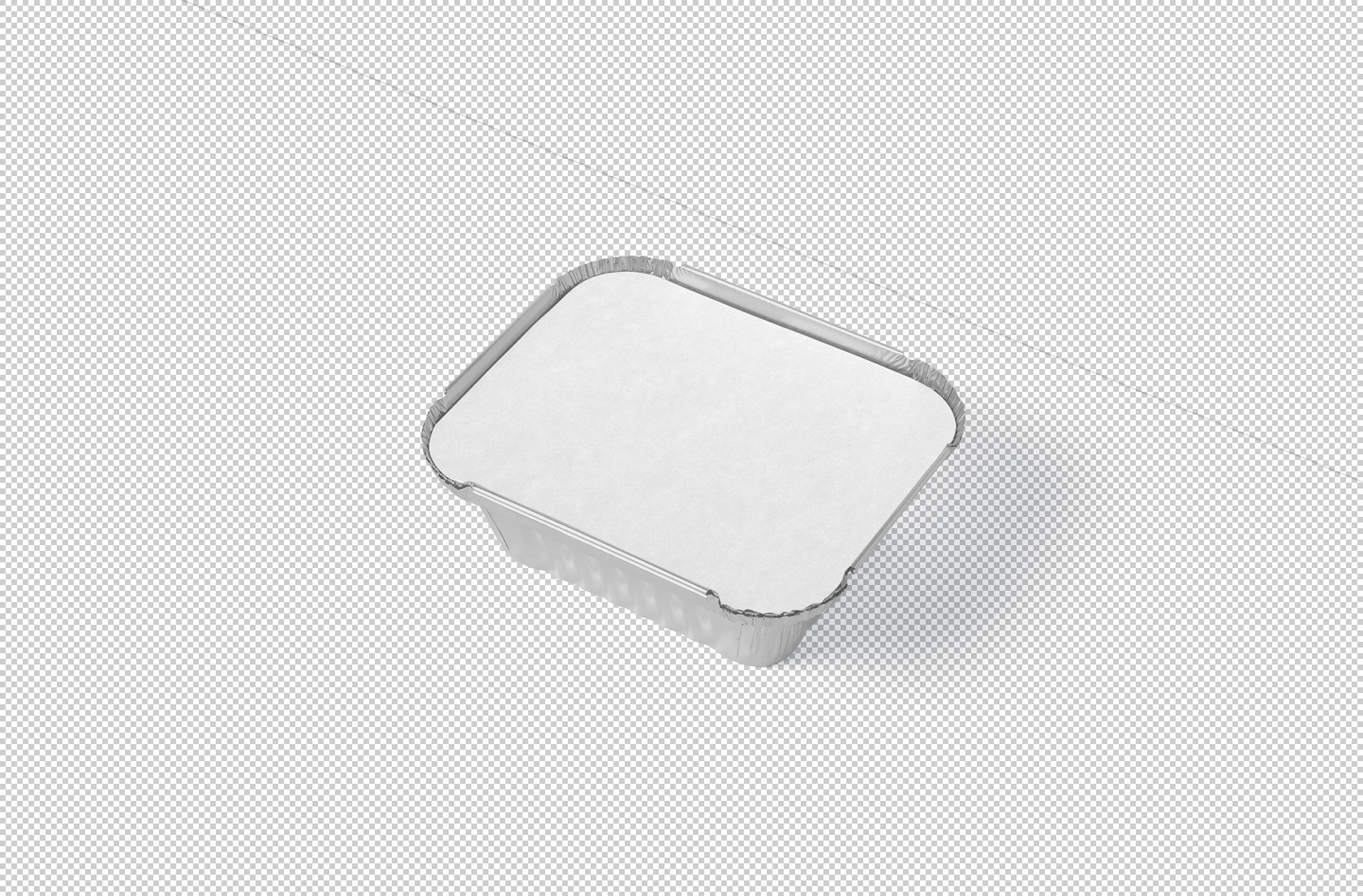 disposable food packaging mock-up