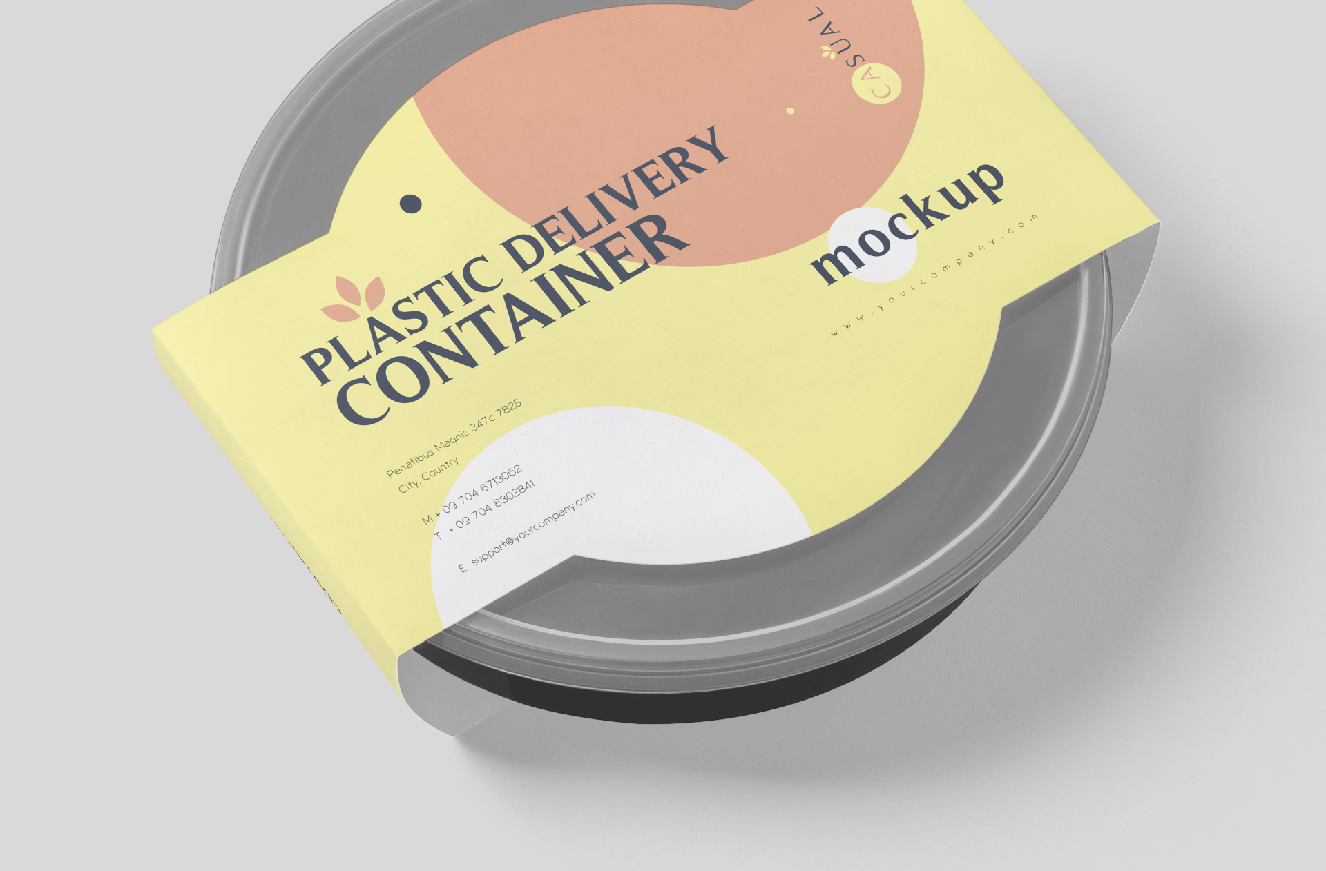 biodegradable food box