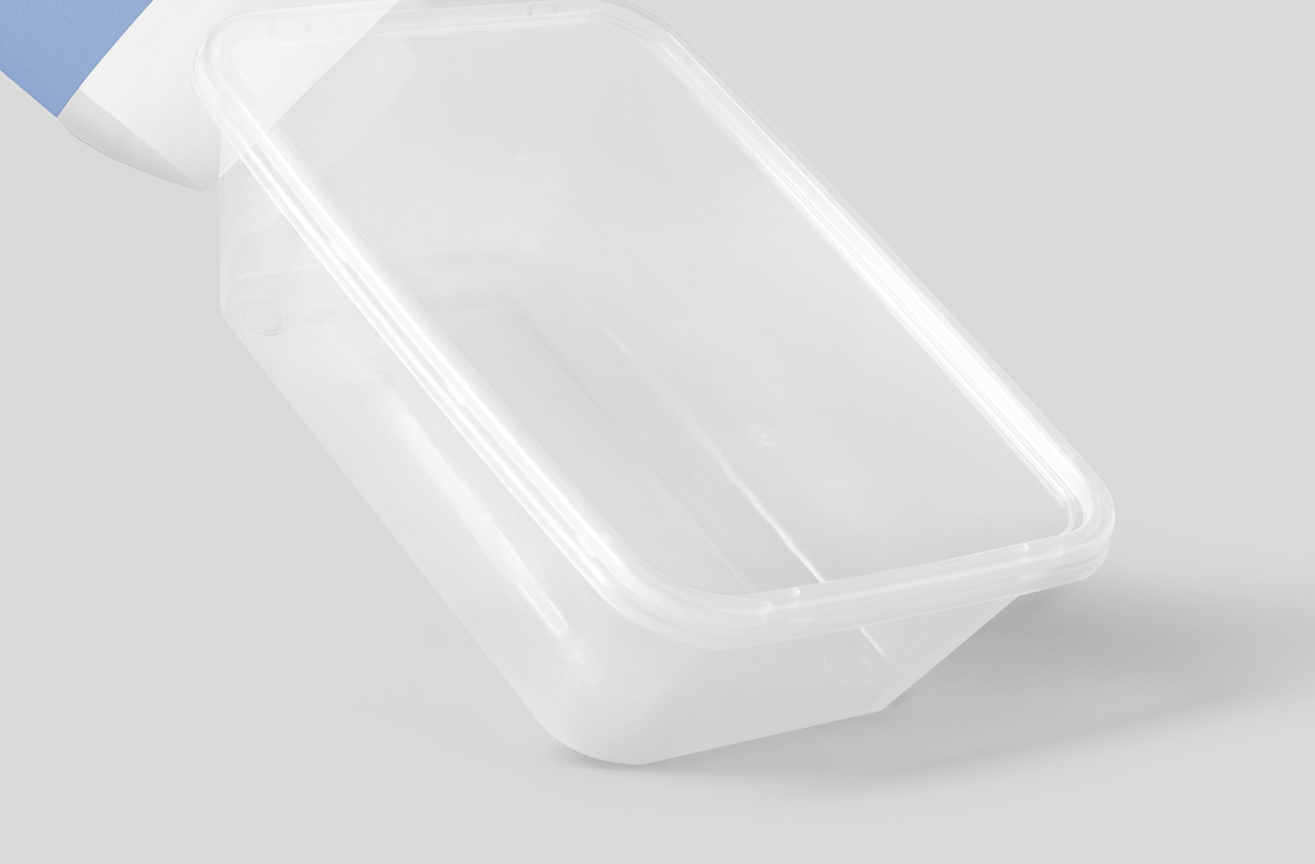biodegradable food box