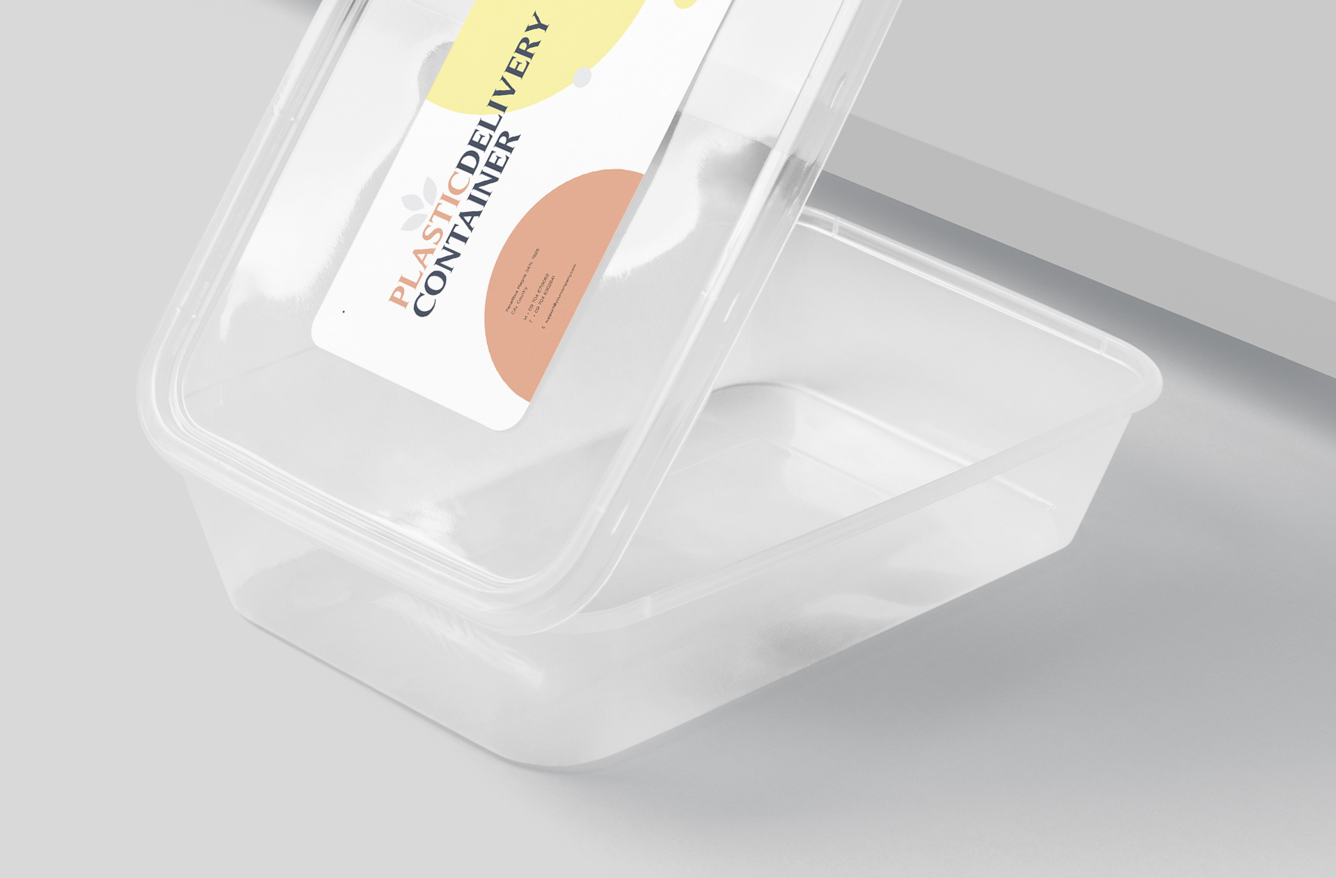 biodegradable meal prep box