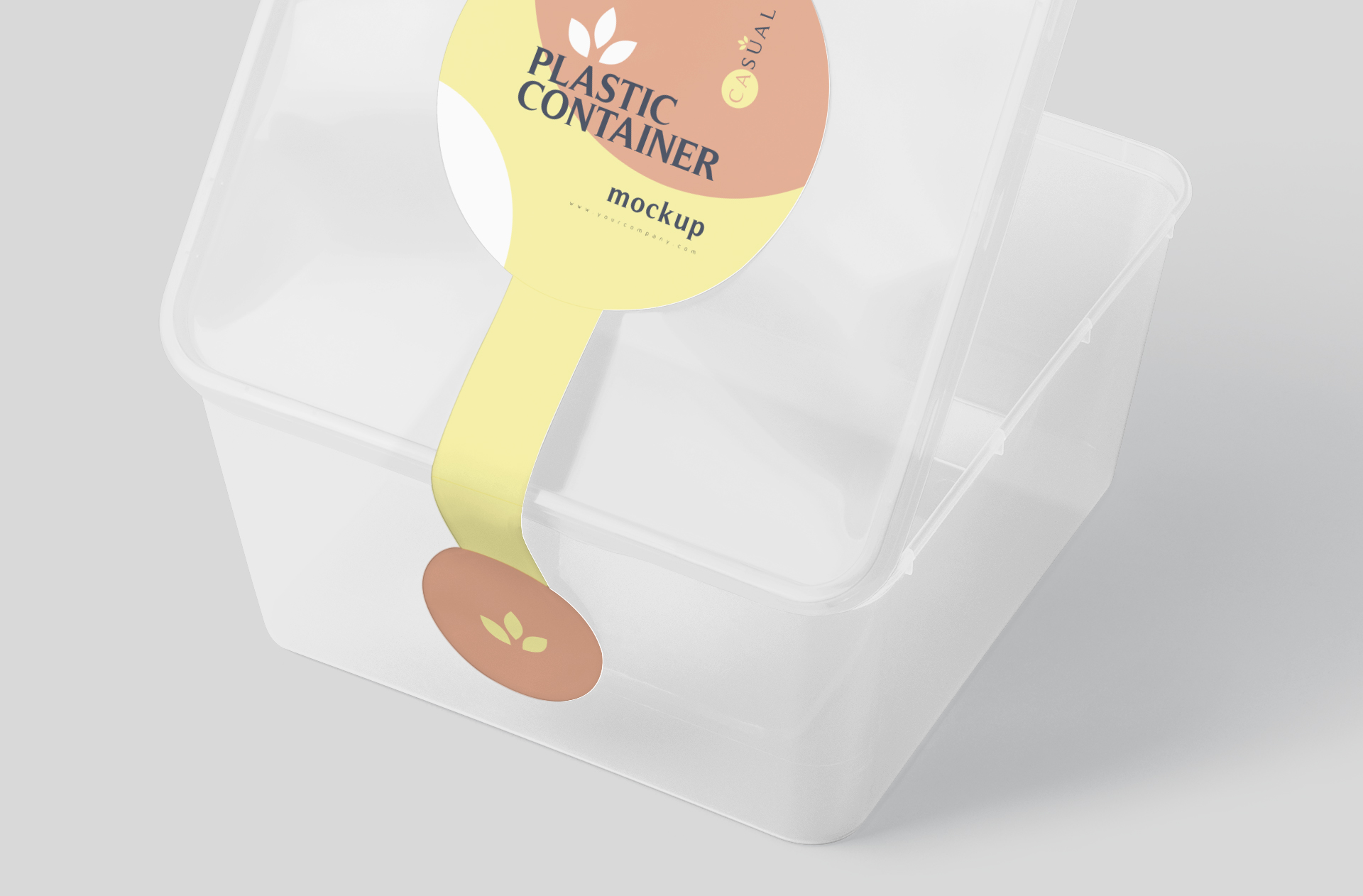 biodegradable container mock-up