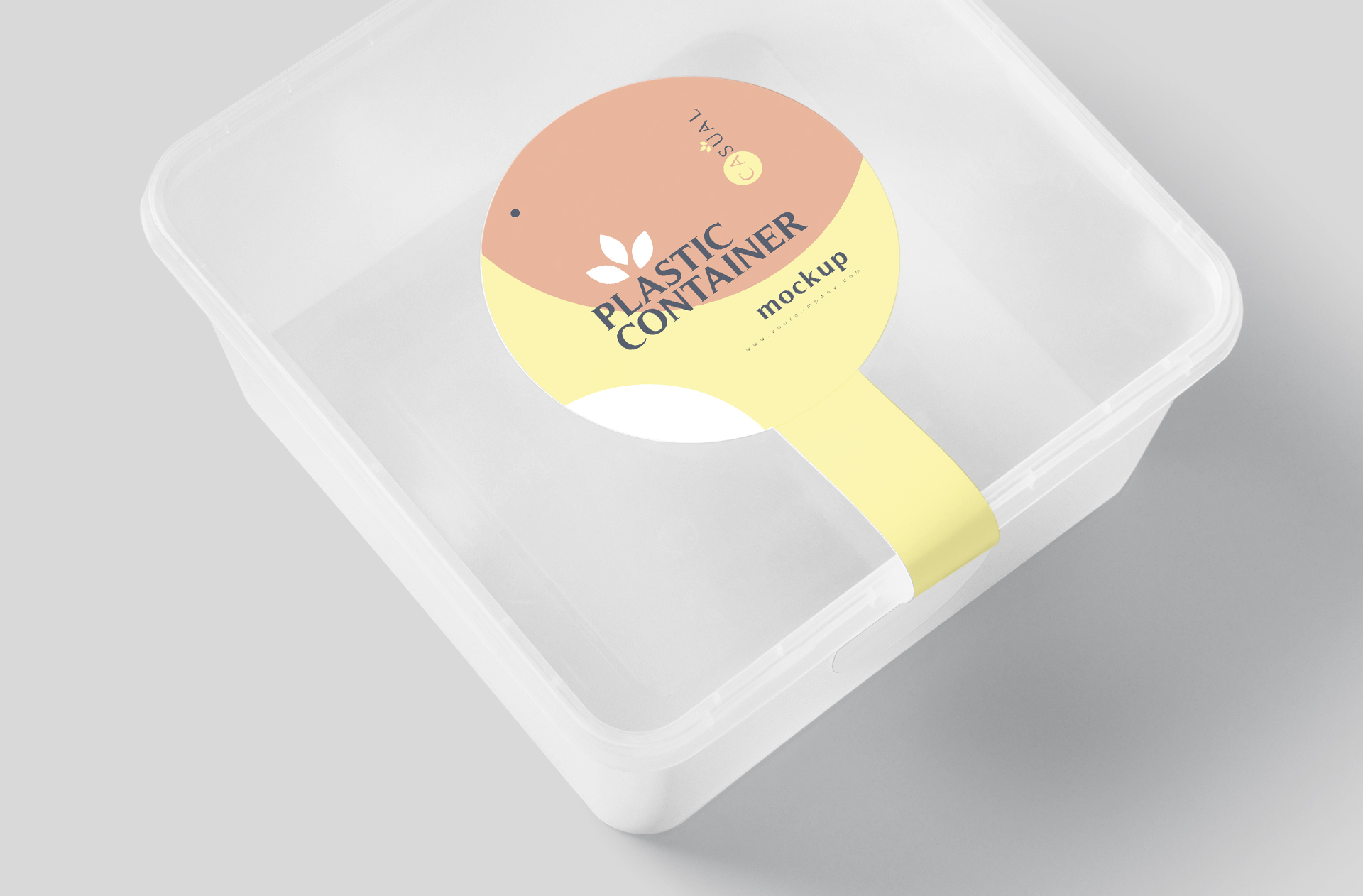 biodegradable takeaway box