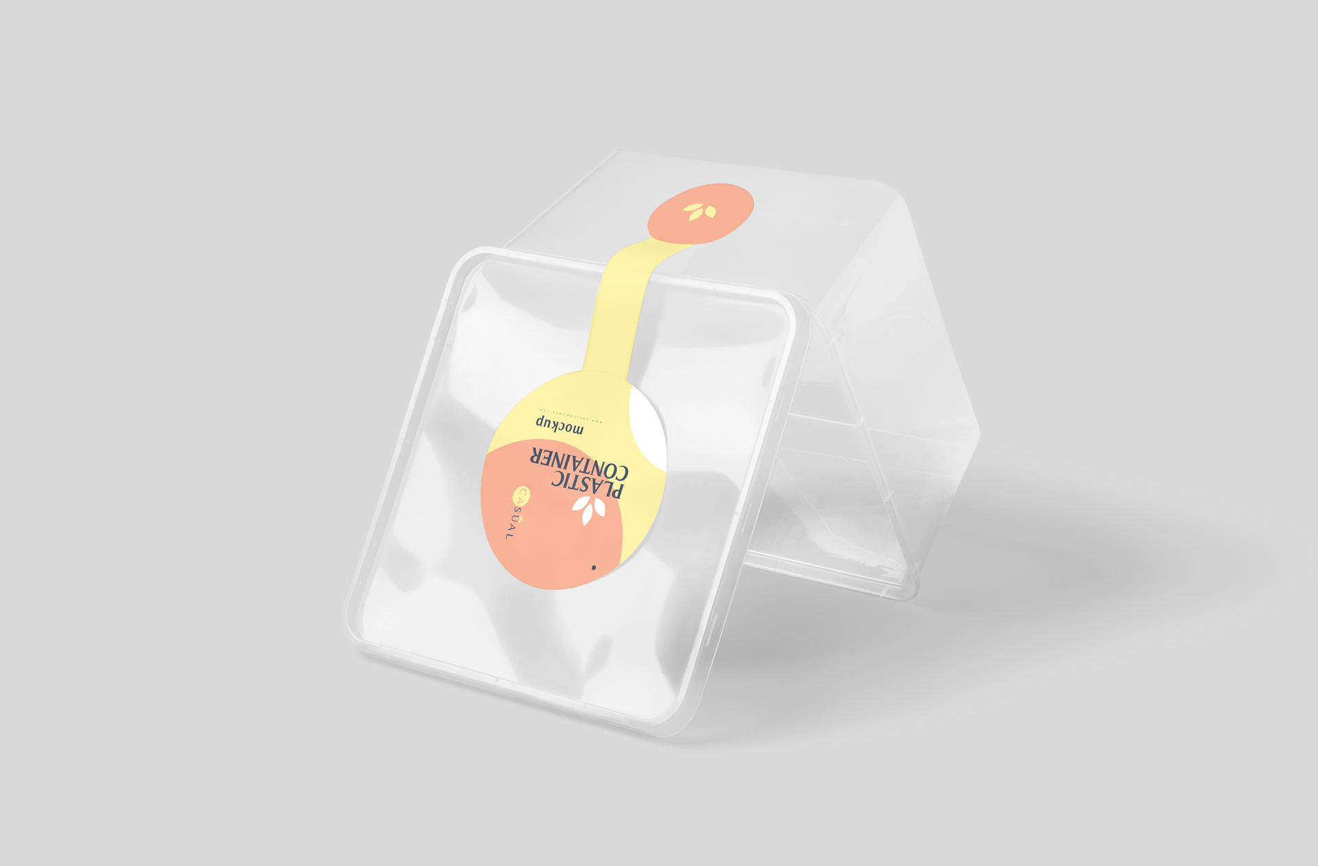 Disposable Square Plastic Meal Box Mockup – Eco-Friendly