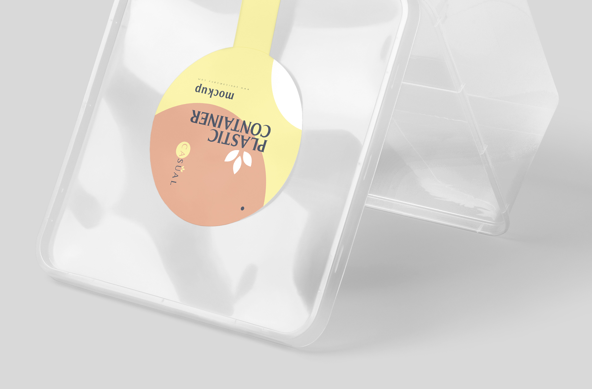 biodegradable meal prep box