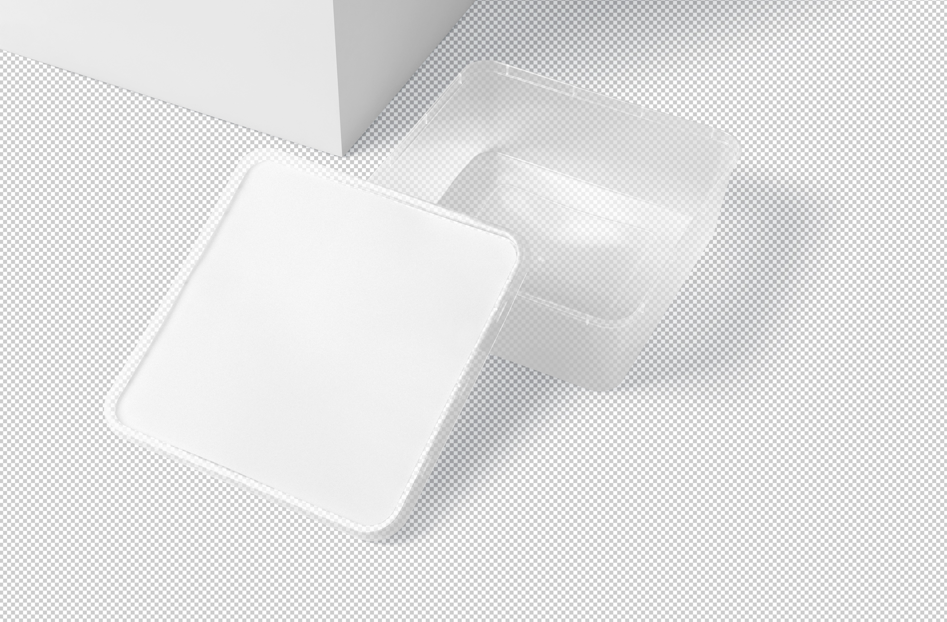 biodegradable food container