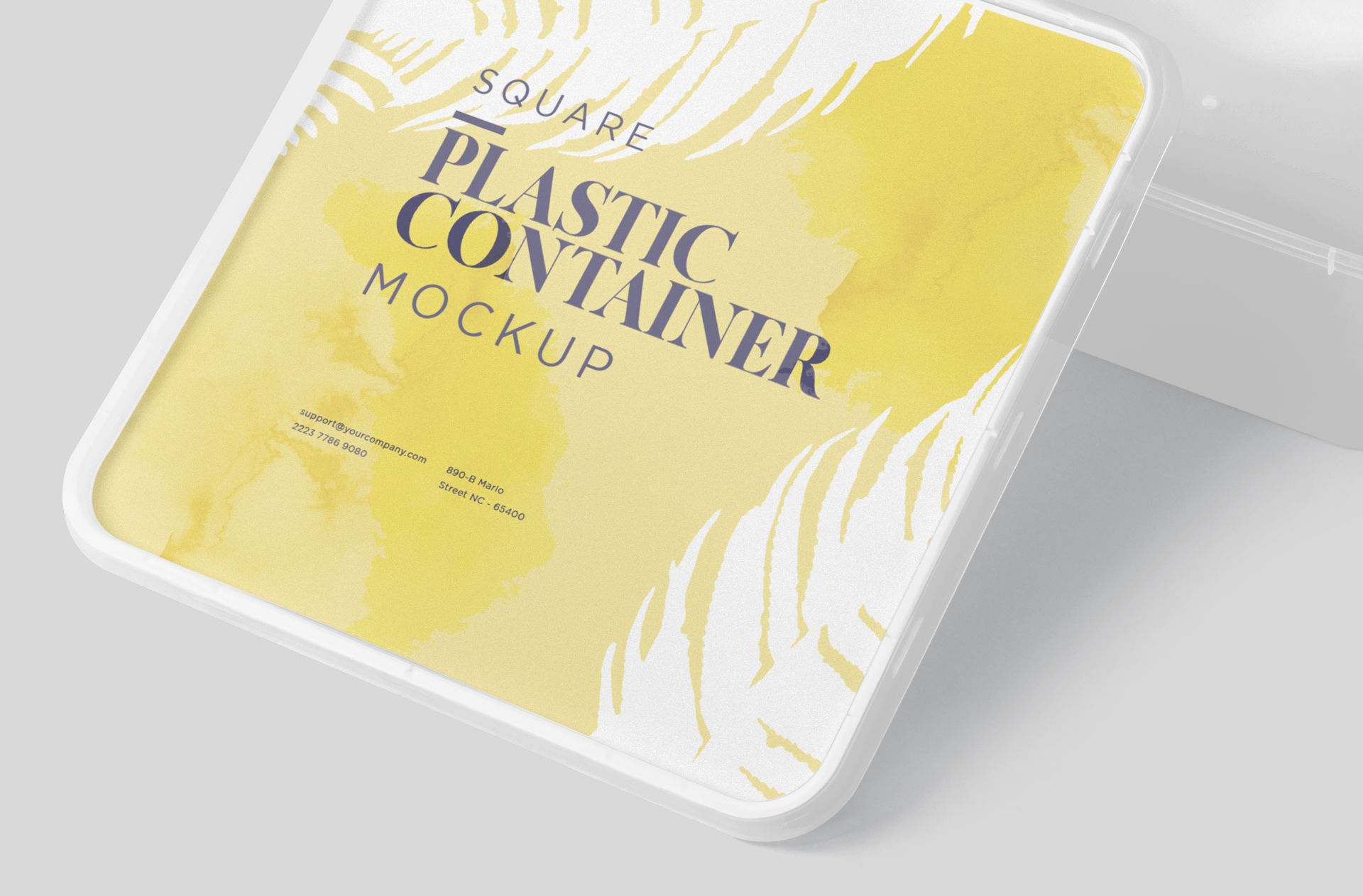 biodegradable food container