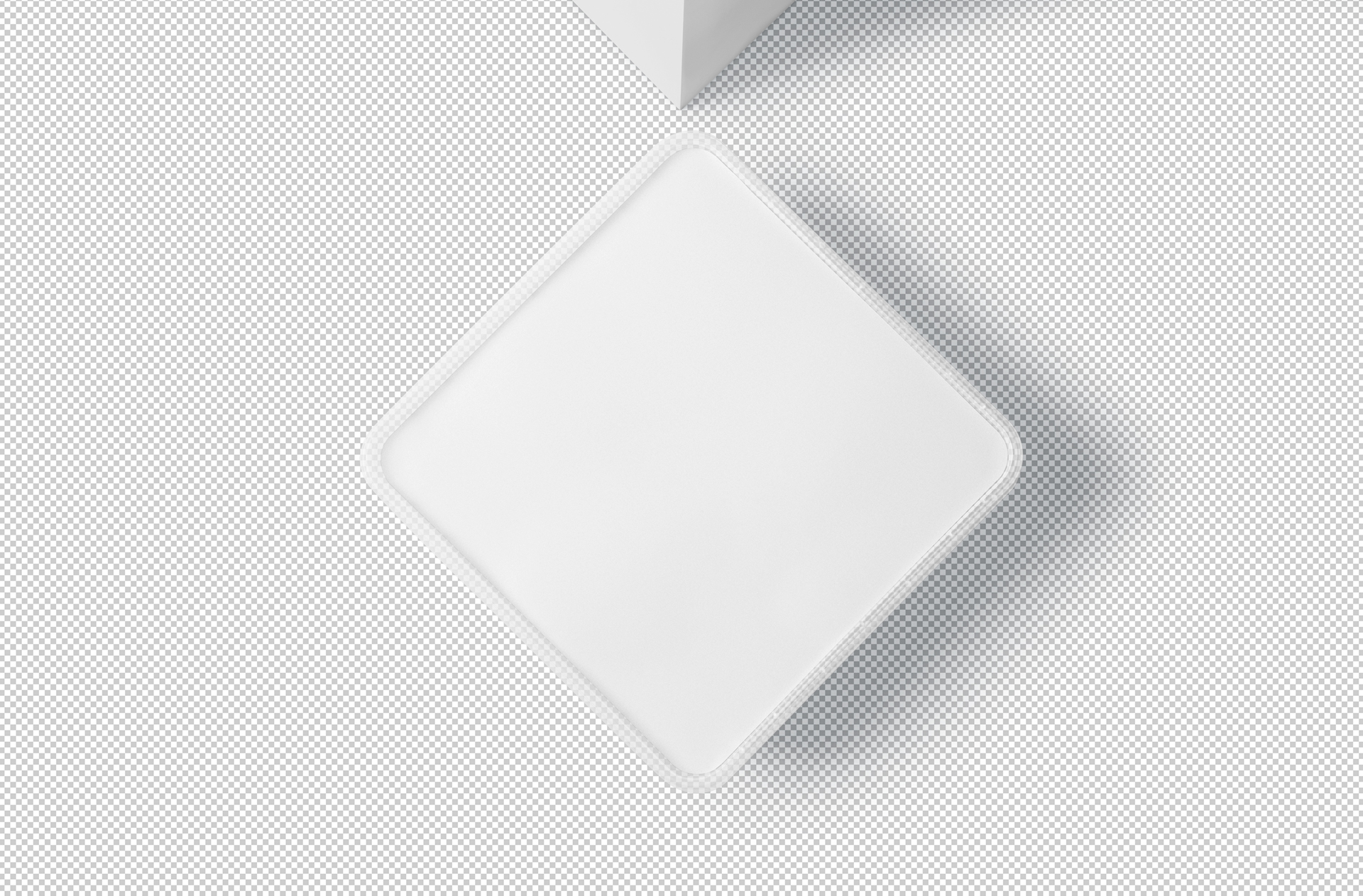 biodegradable container mock-up