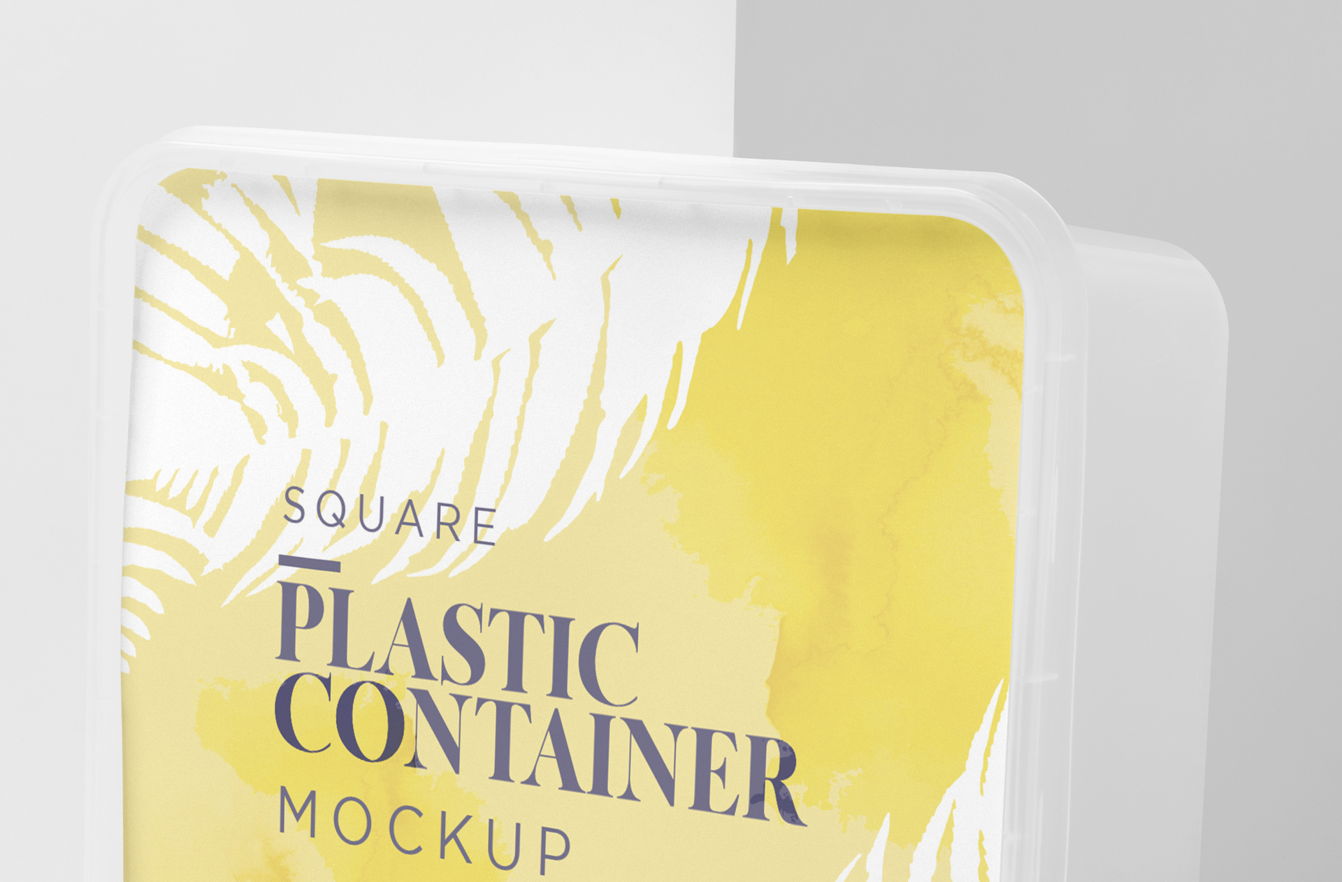 biodegradable takeaway container
