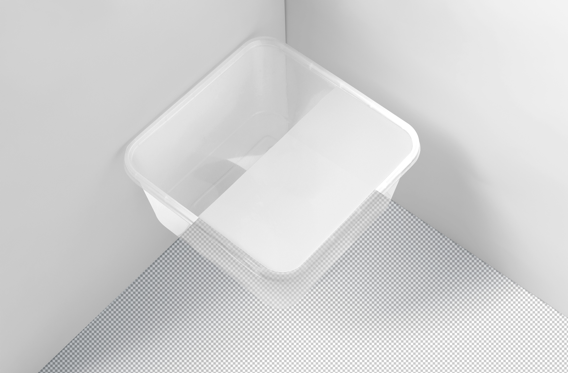 biodegradable food container