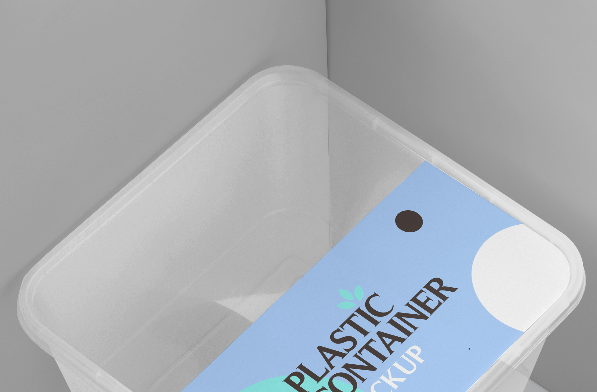 biodegradable food container