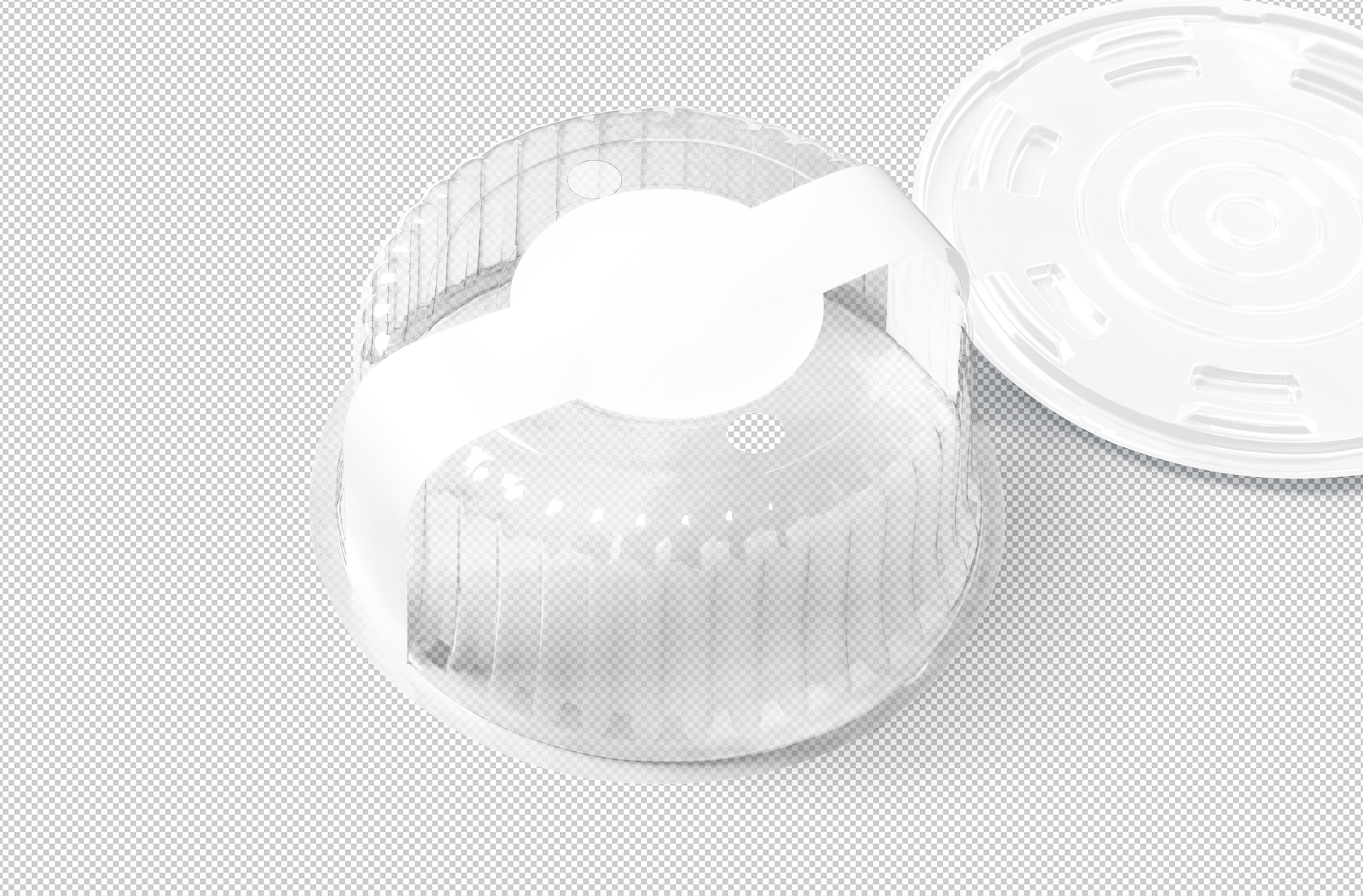 biodegradable takeaway box