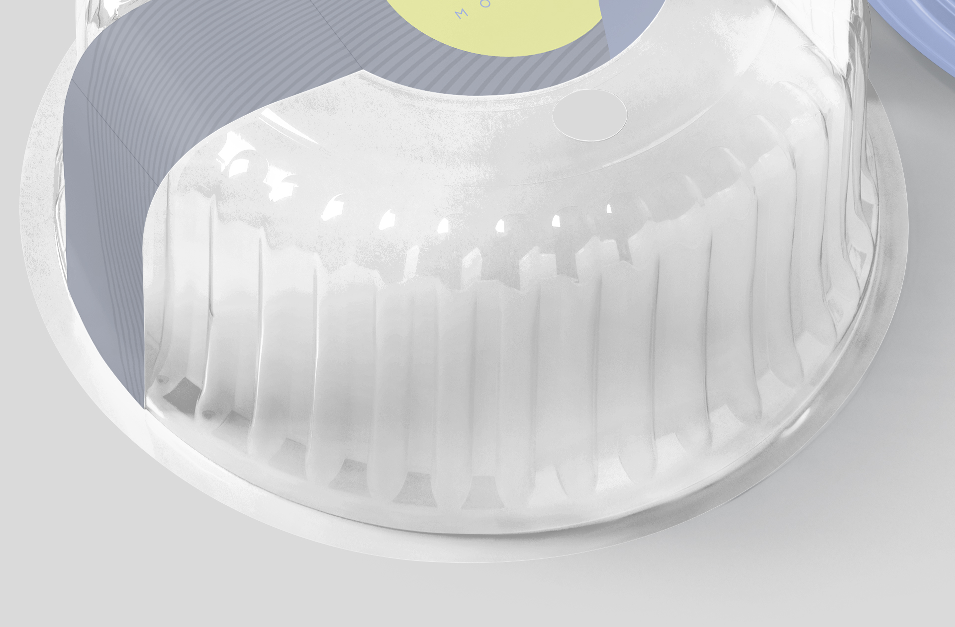 biodegradable takeaway box