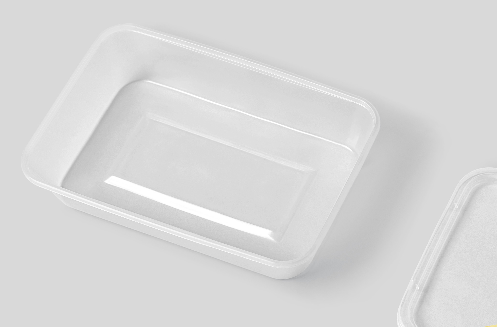 catering container mockup
