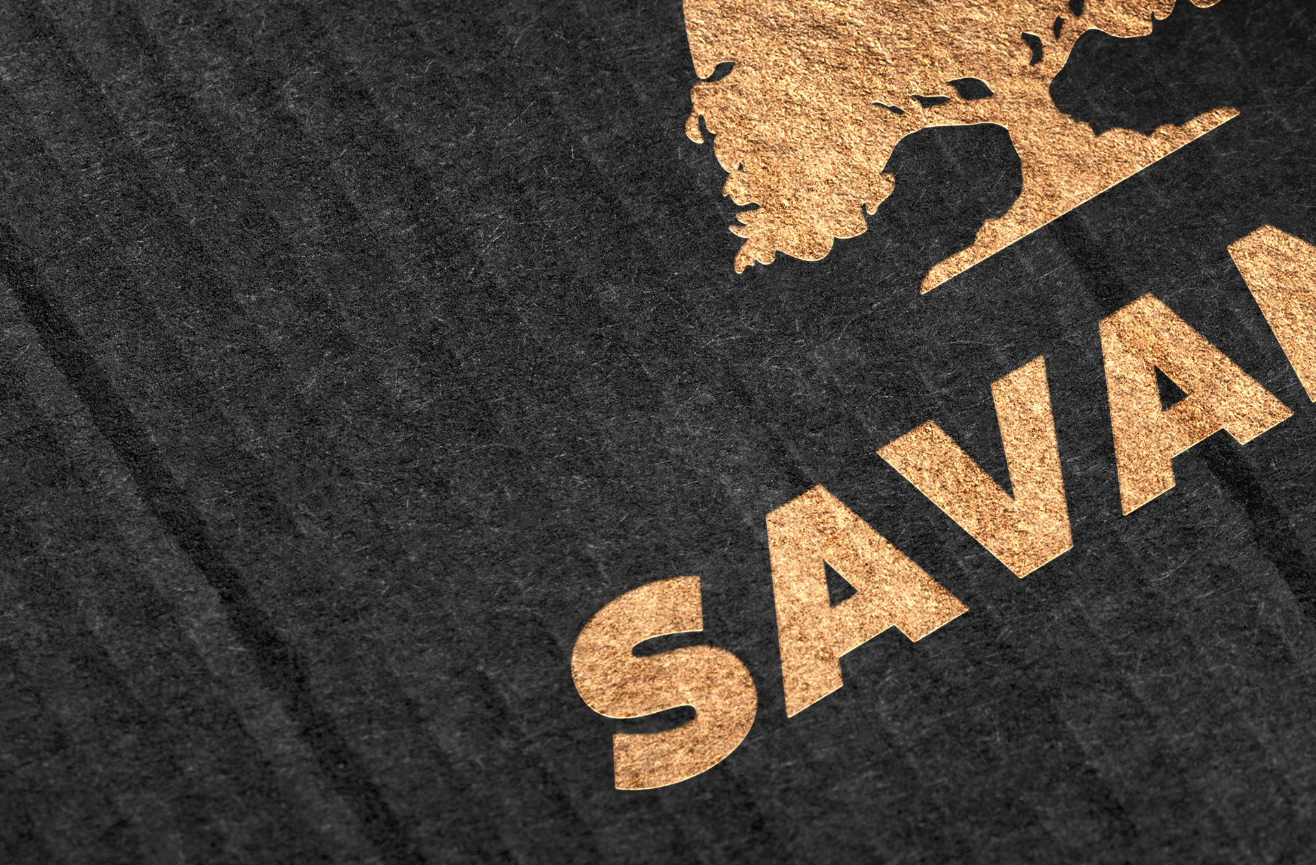 branding mock-up psd