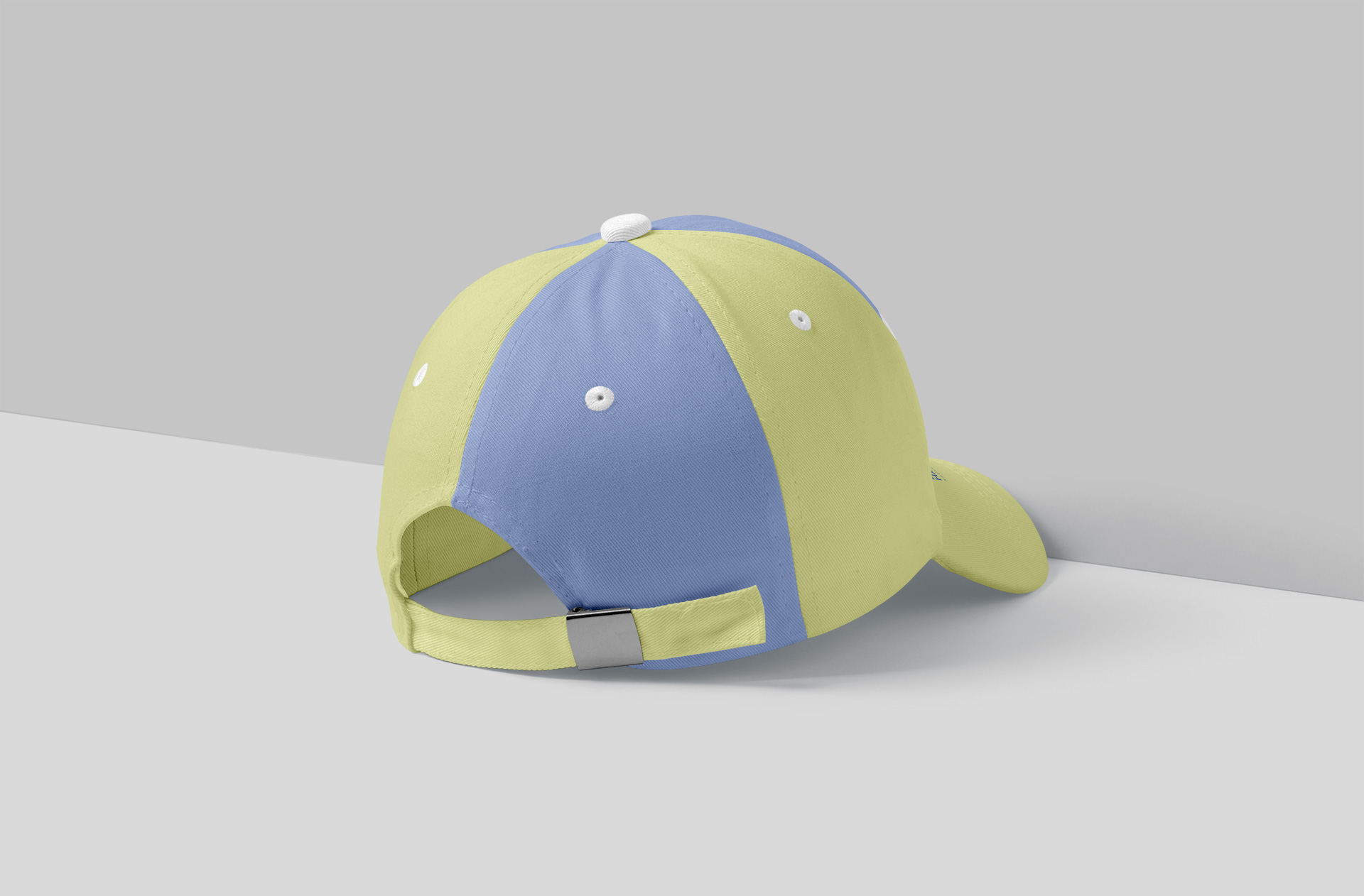 Dad Hat Mockup Back View