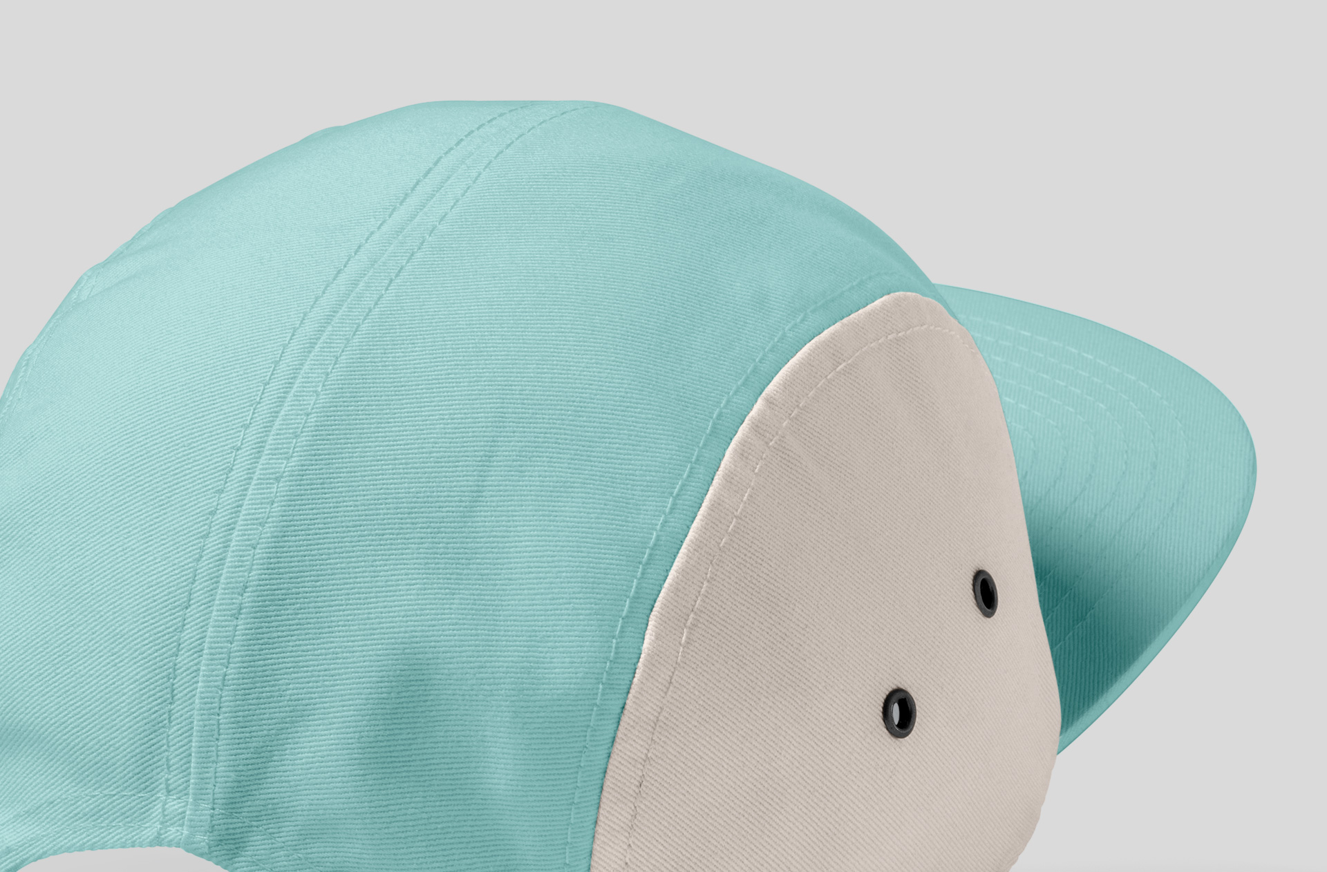 5 panel cap PSD