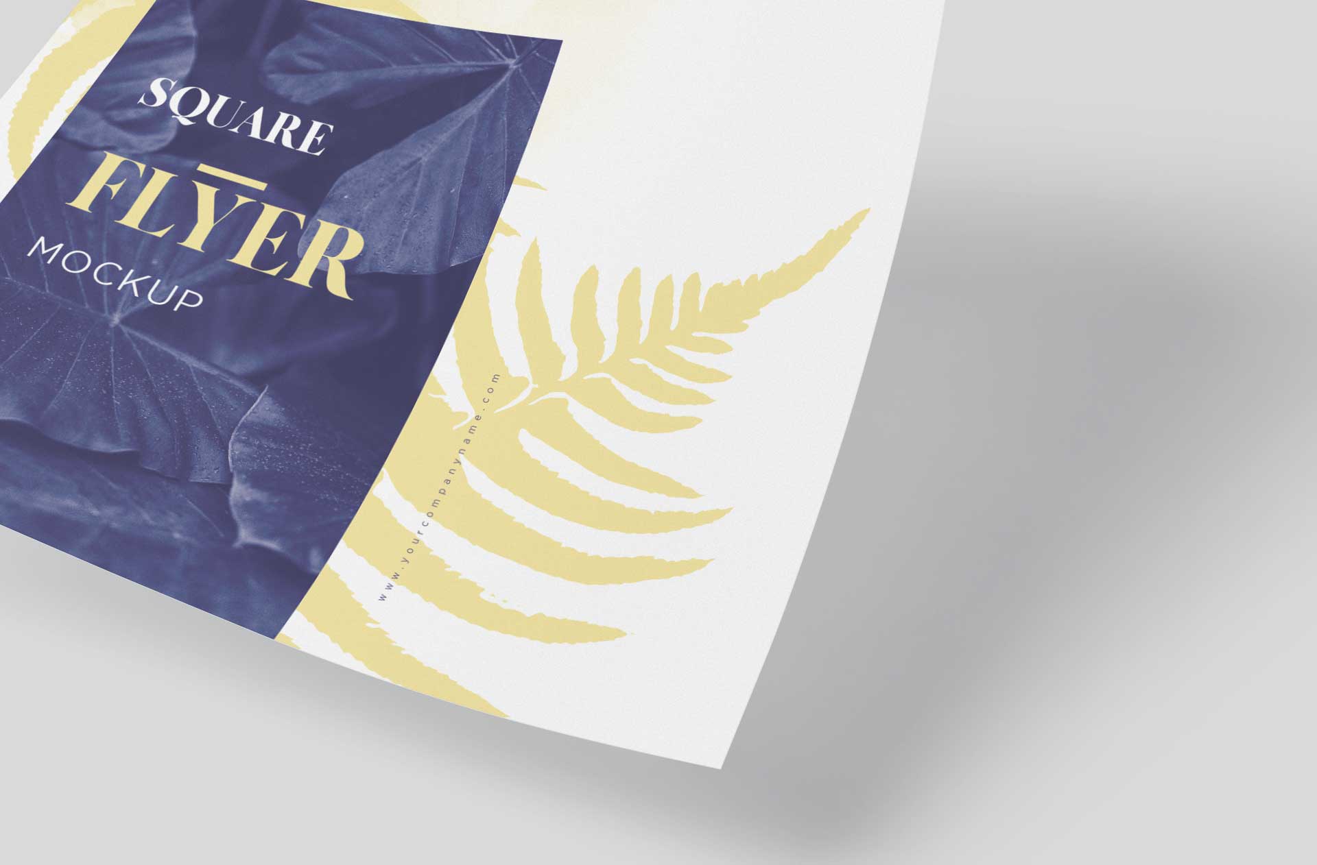 advertisement flyer branding